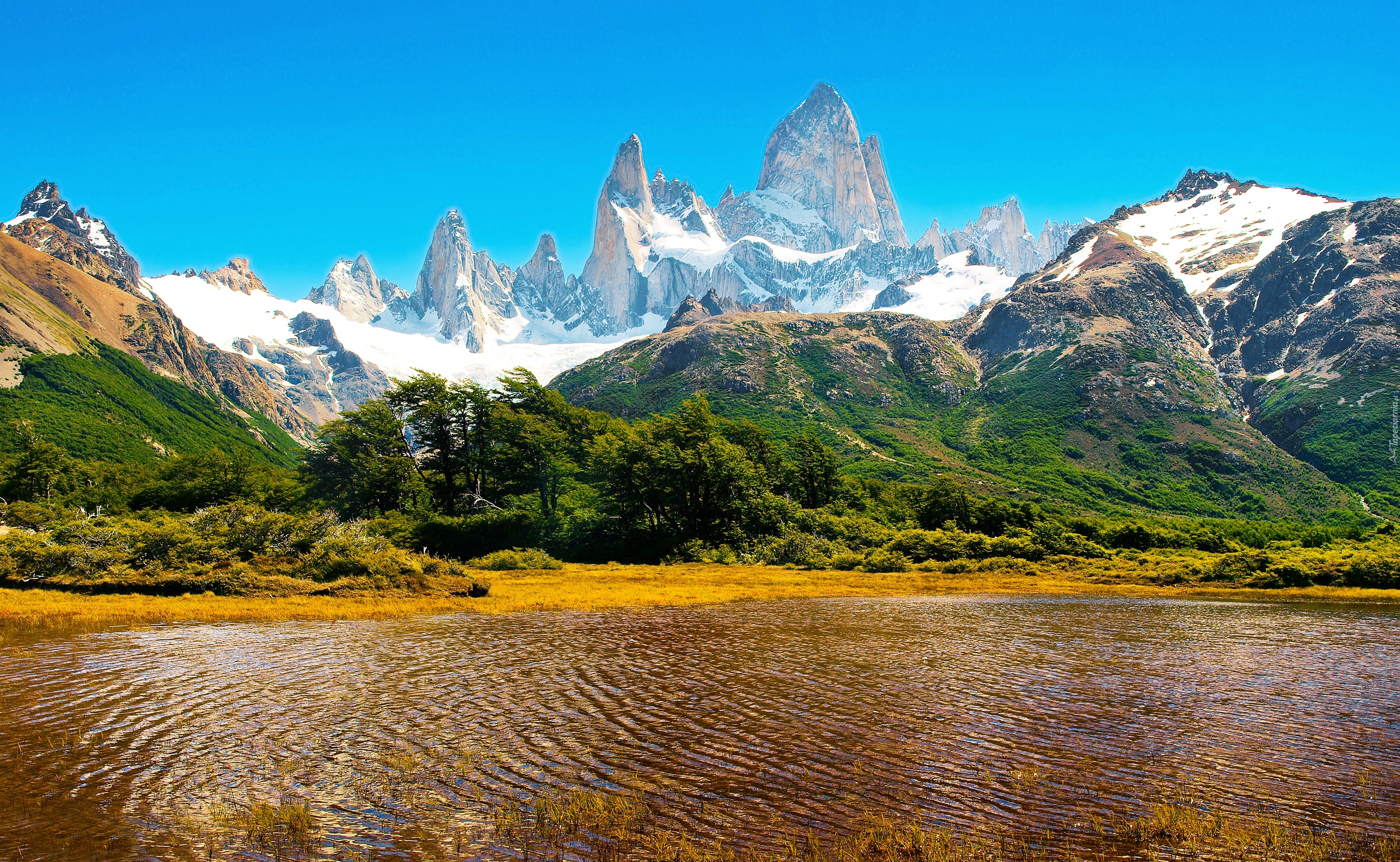 Góry, Jezioro, Drzewa, Argentyna