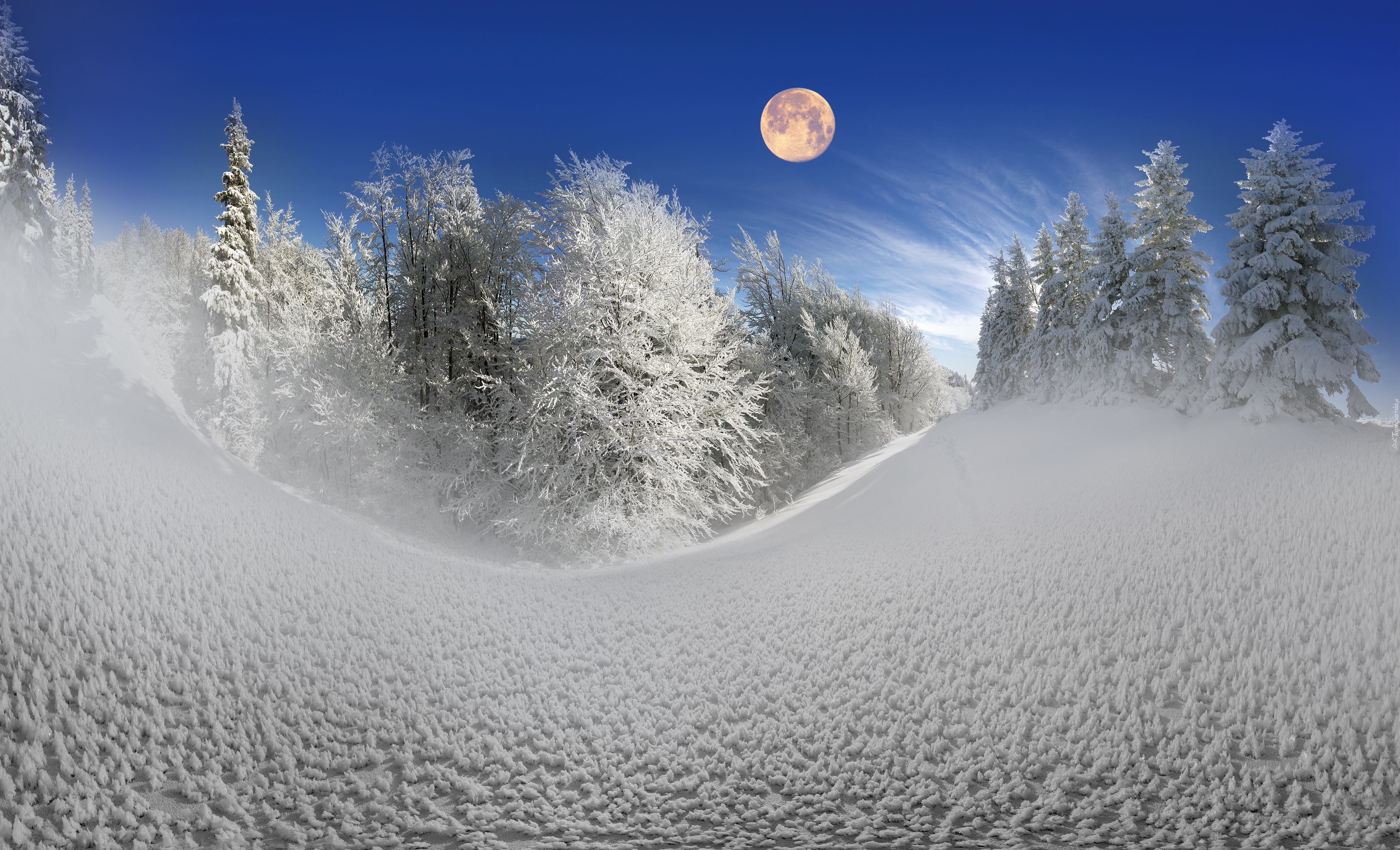 Zima, Śnieg, Księżyc, Drzewa