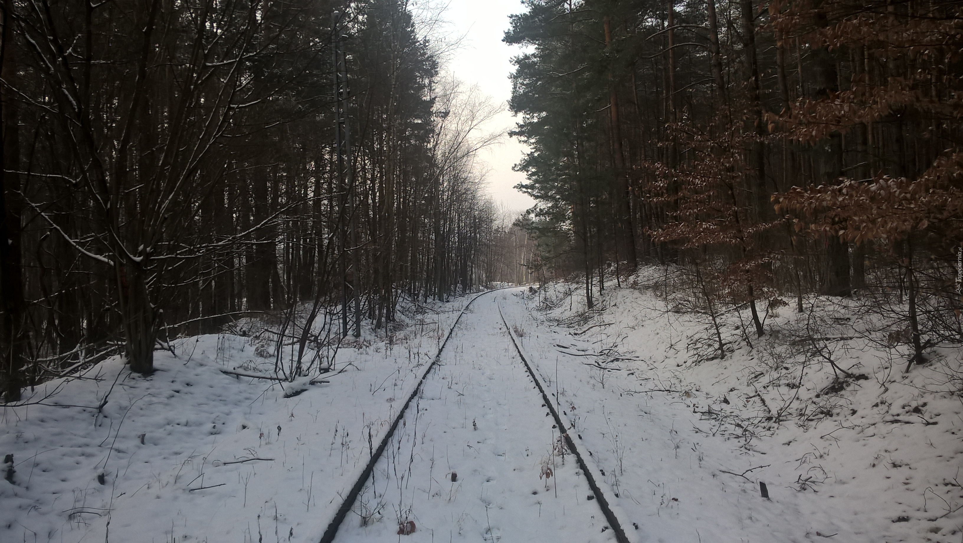 Opuszczone tory kolejowe