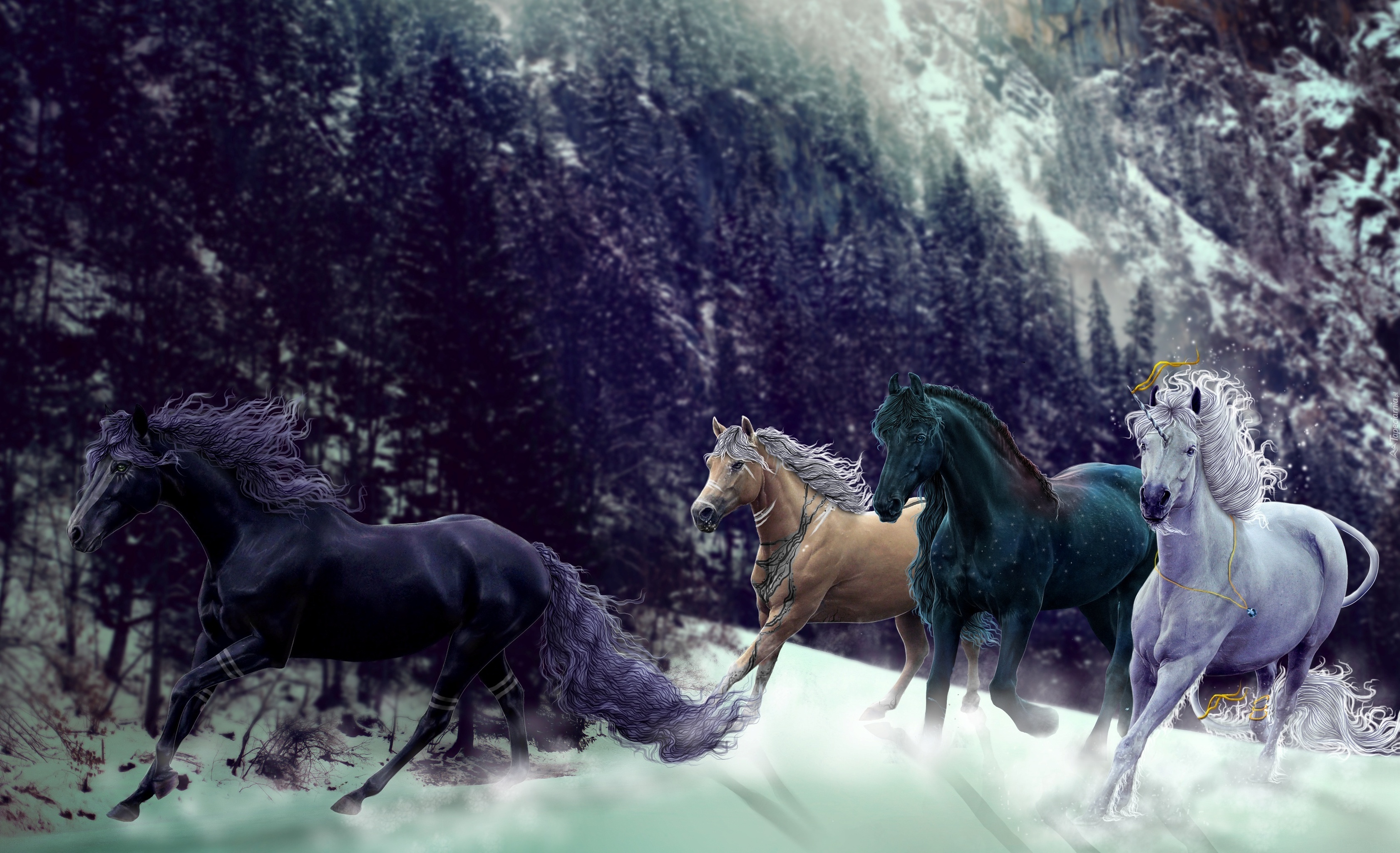Konie, Śnieg, Góry, Drzewa