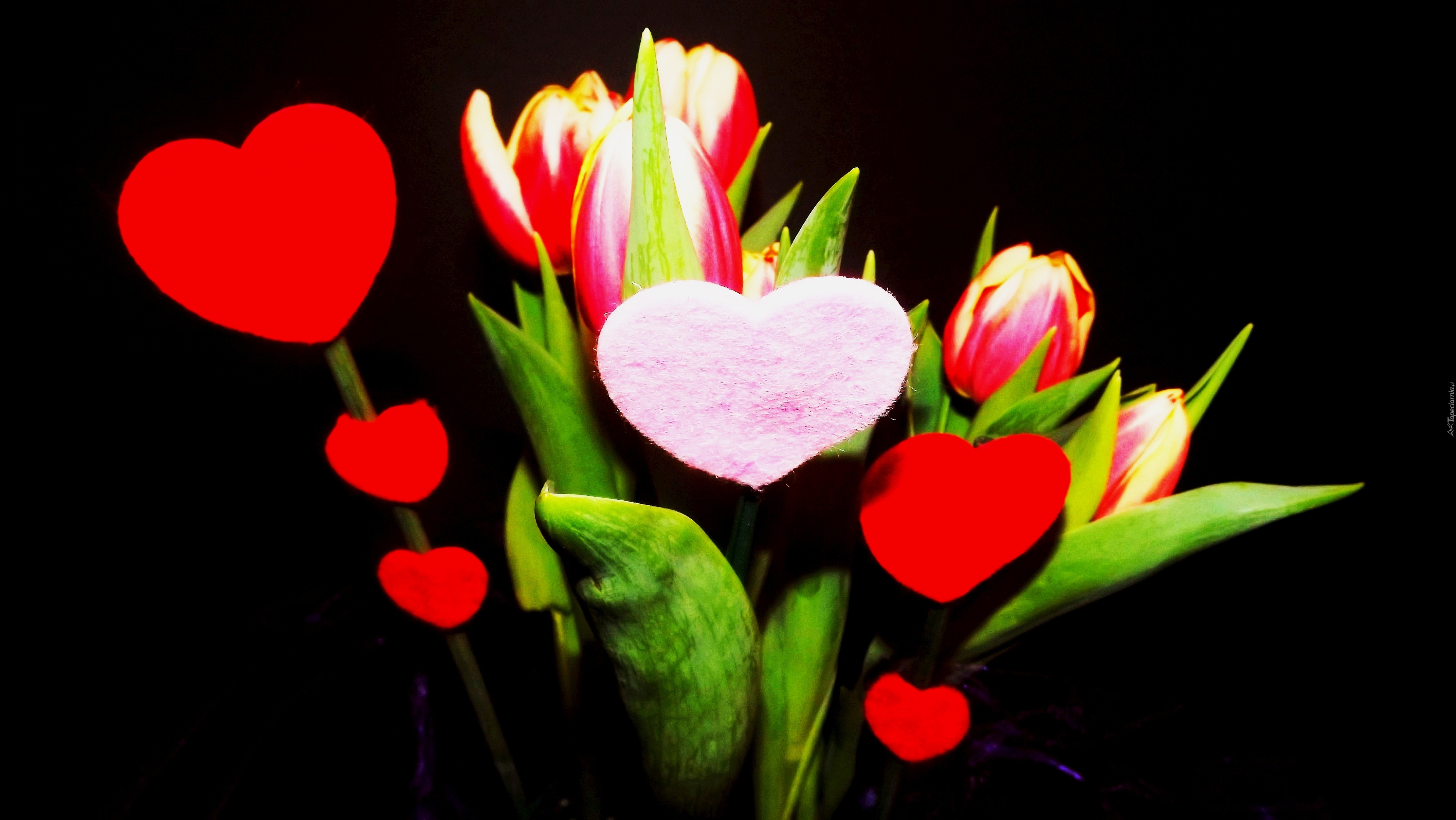 Walentynki, Kwiaty, Tulipany, Serduszka