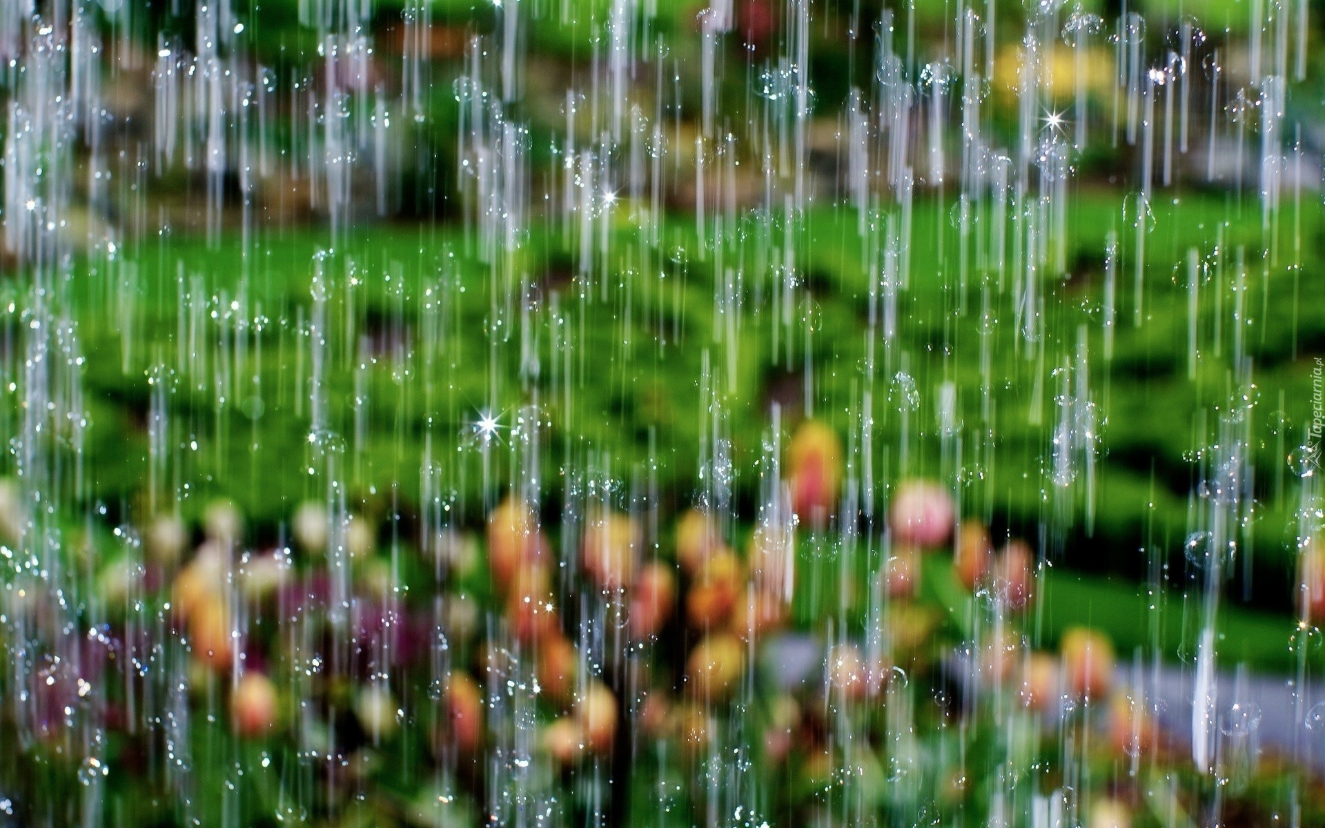 Ulewny, Deszcz, Łąka