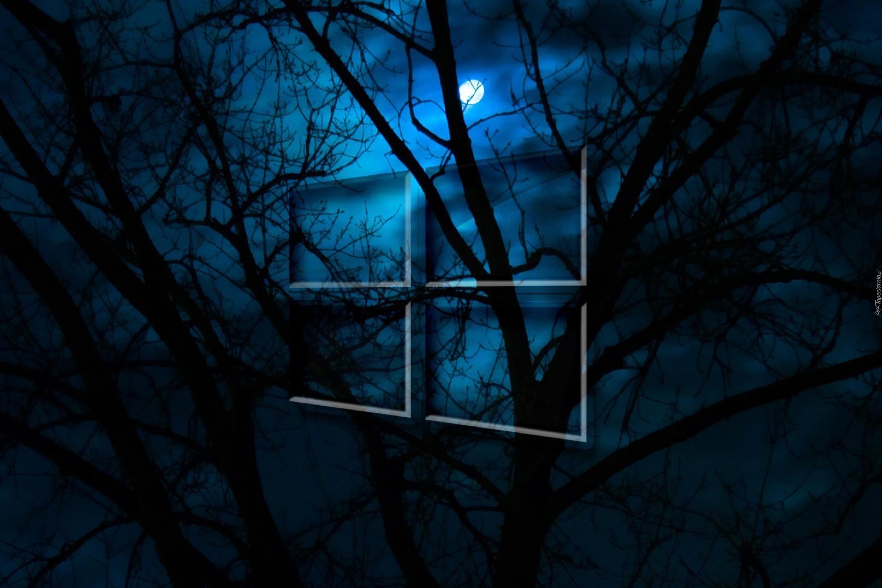 Noc, Księżyc, Pełnia, Drzewa, Logo, Windowsa