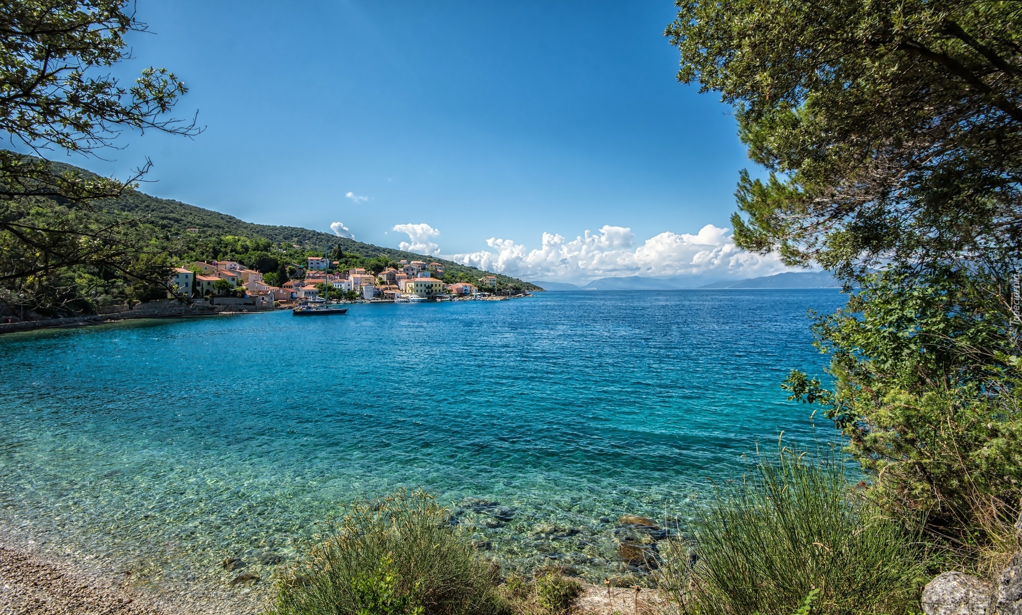 Morze, Roślinność, Chorwacja