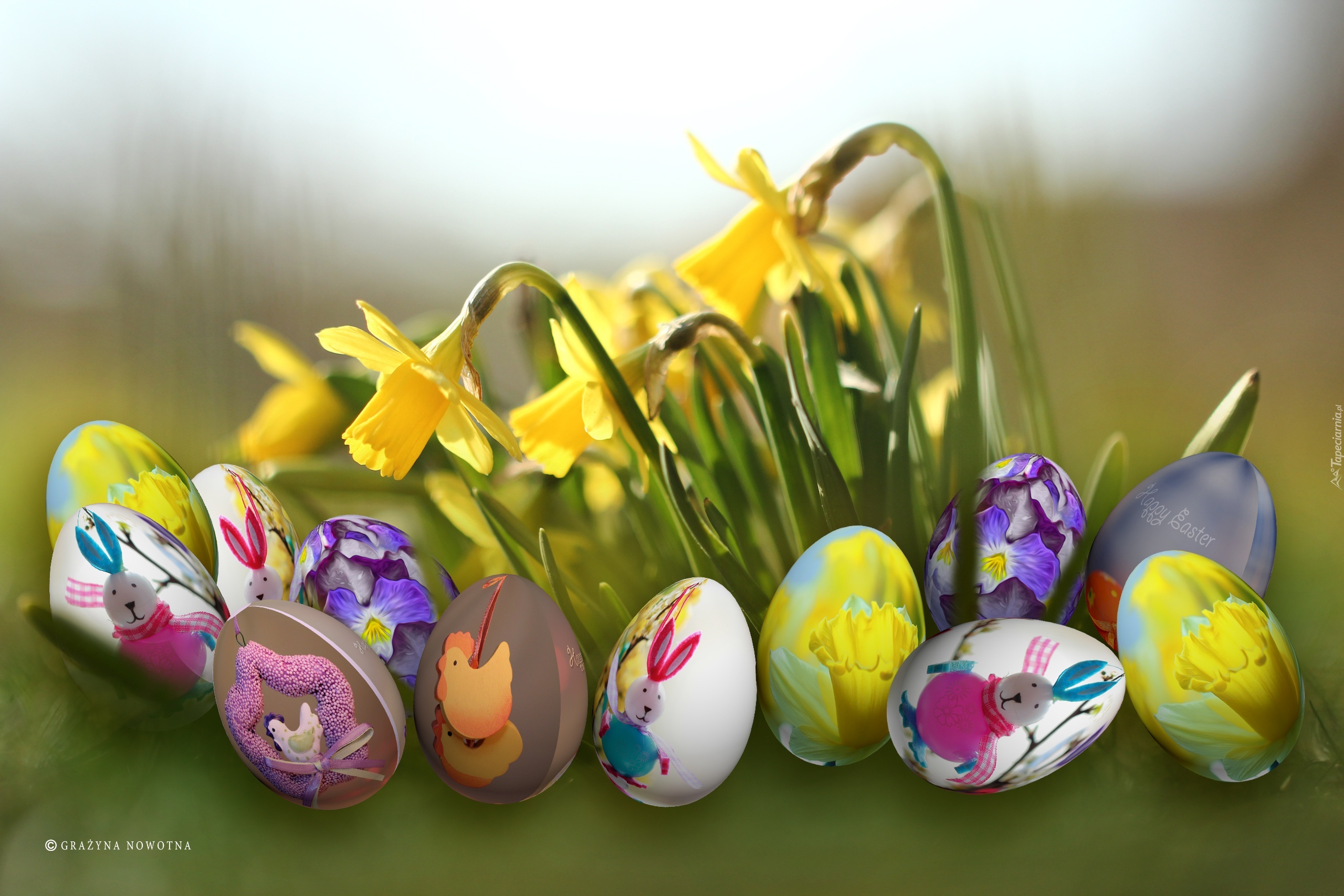 Kolorowe, Jajeczka, Żonkile, Kwiaty, Święta, Wielkanoc