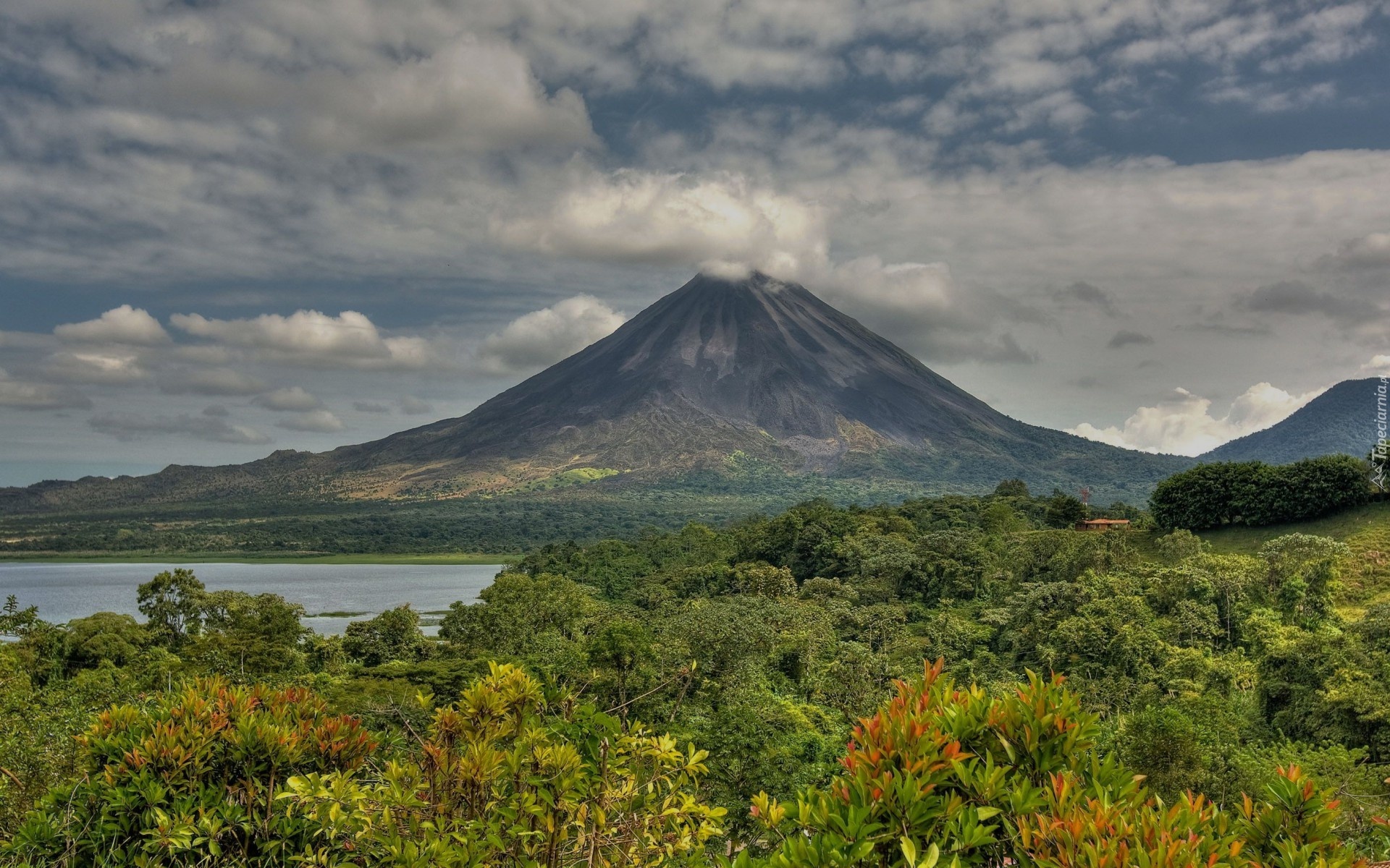 Wulkan, Arenal, Kostaryka, Pyły, Wulkaniczne, Roślinność