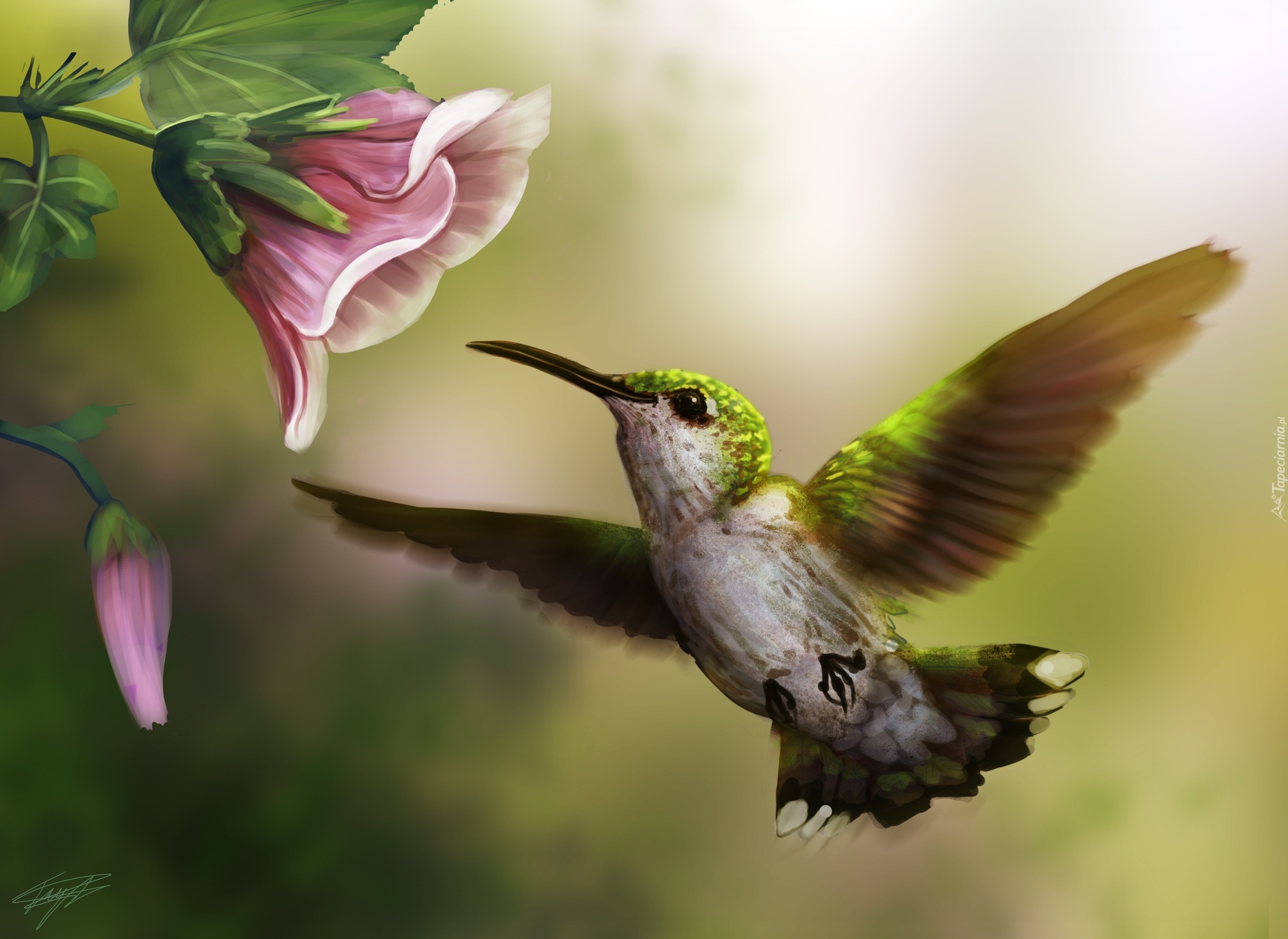 Ptak, Koliber, Kwiat