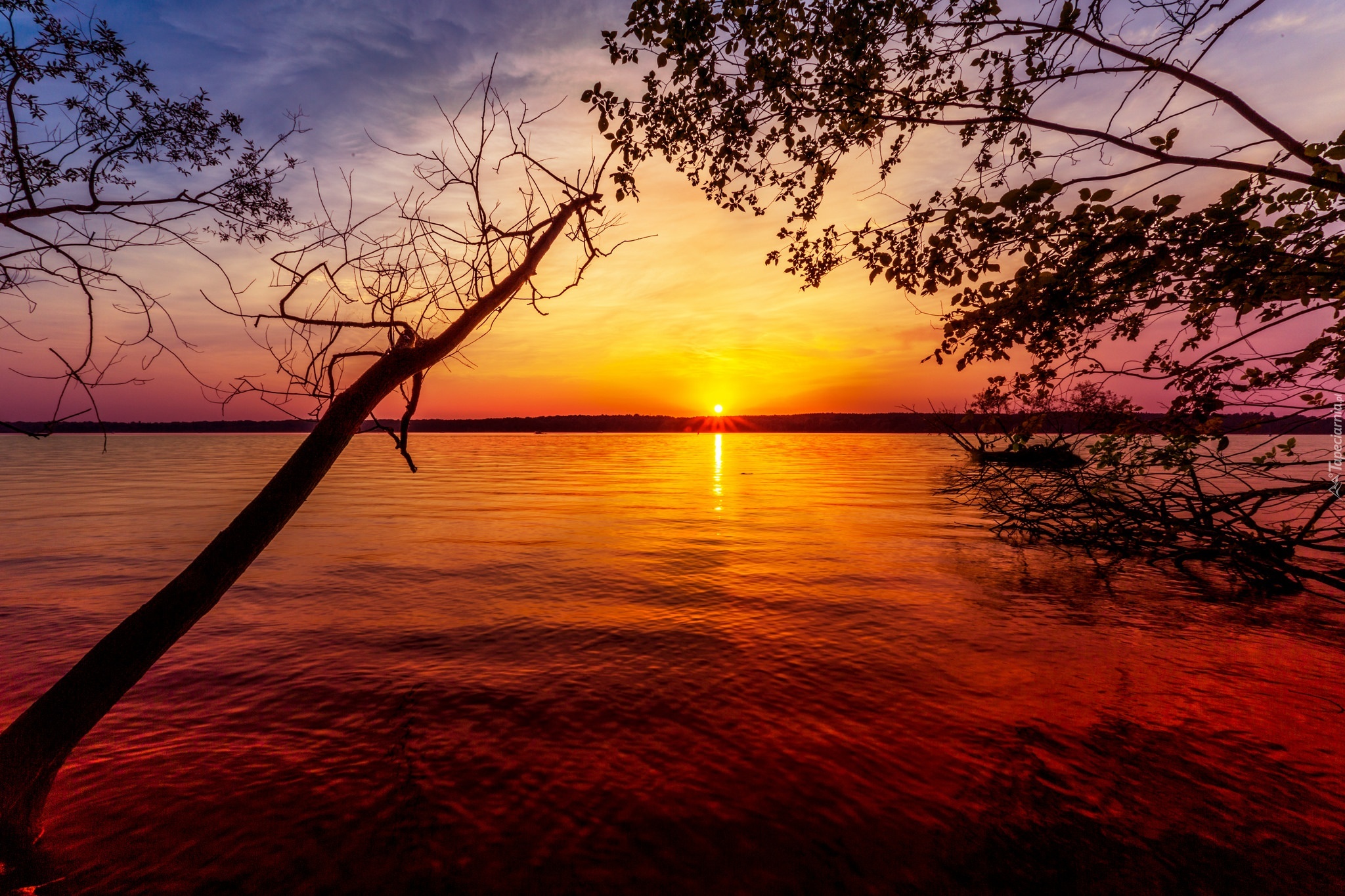 Jezioro, Zachód słońca, Gałęzie