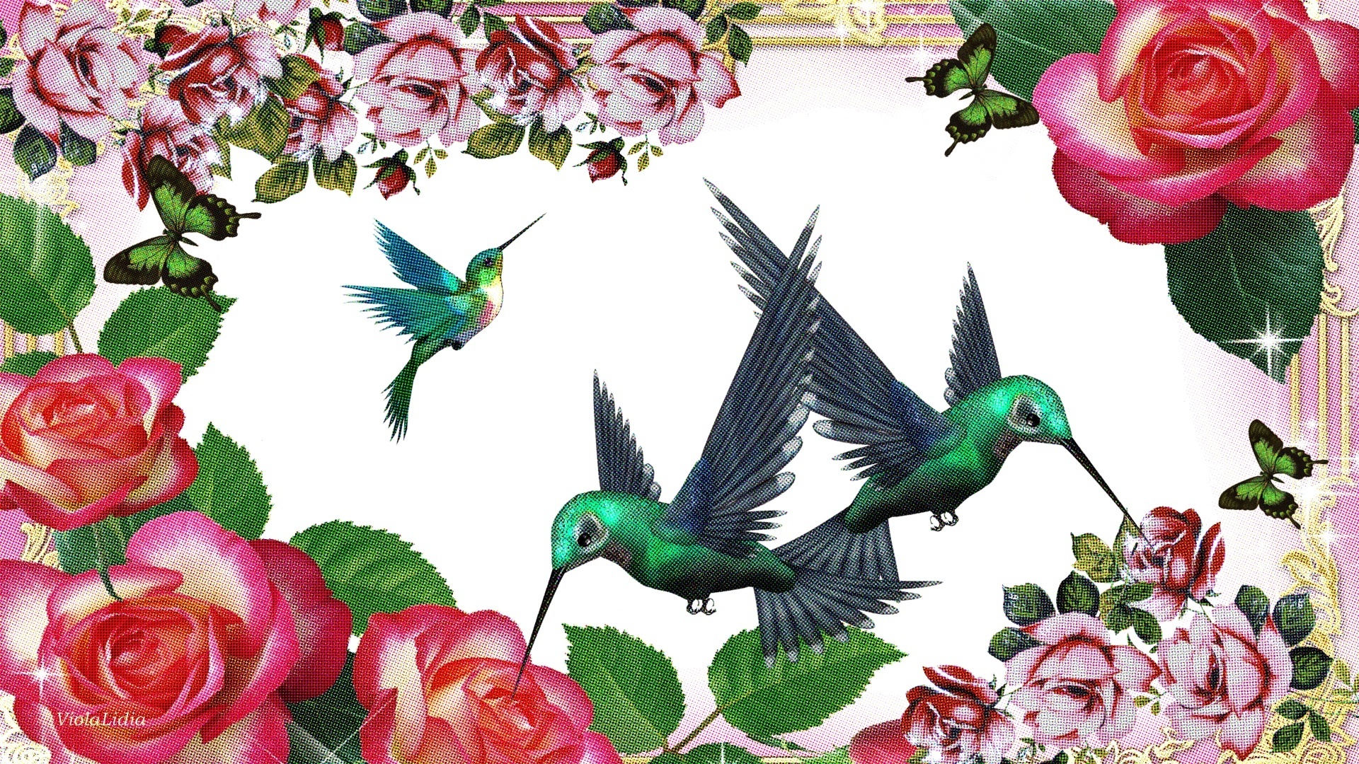 Grafika, Kwiaty, Róże, Ptaki, Kolibry