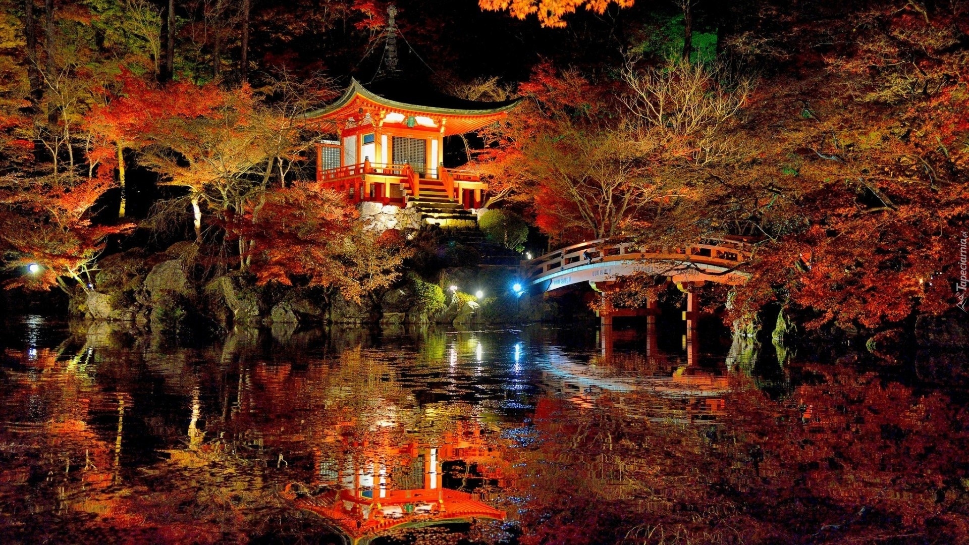 Ogród, Japonia, Światła, Noc