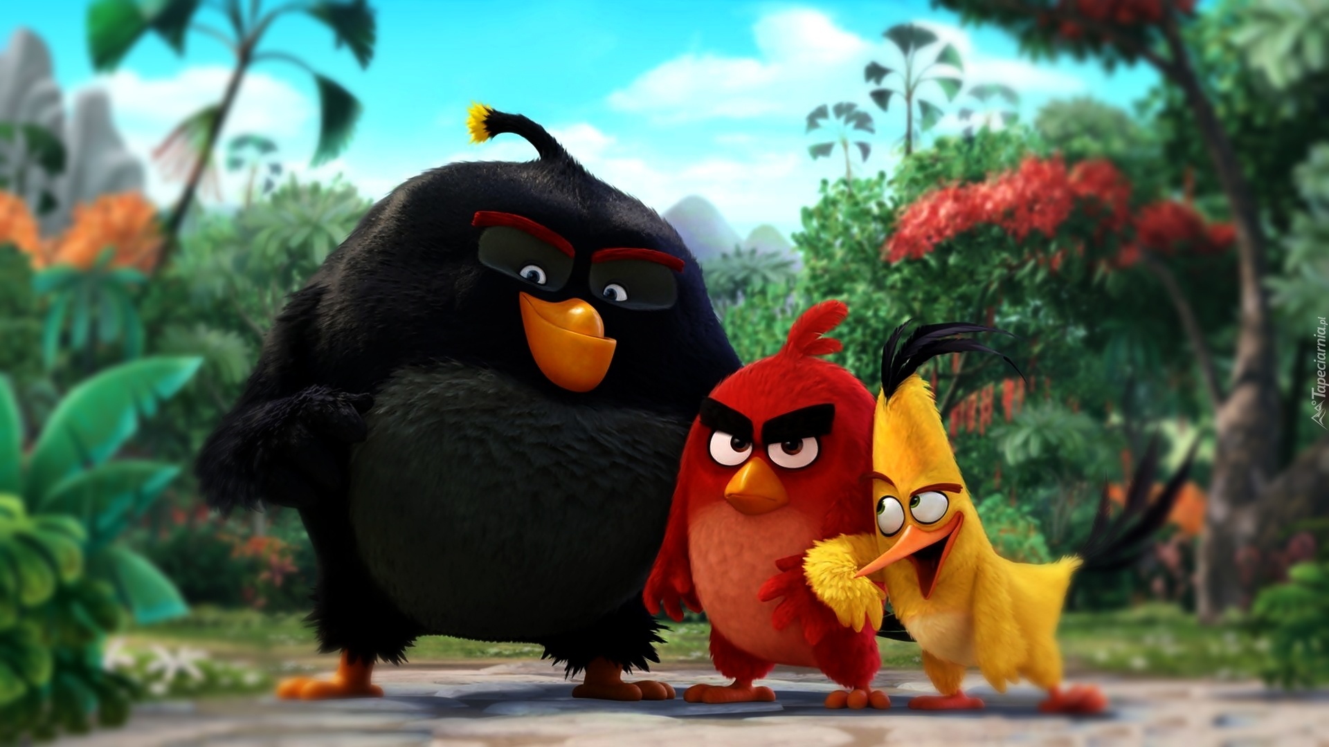 Angry Birds, The Angry Birds Movie, Film