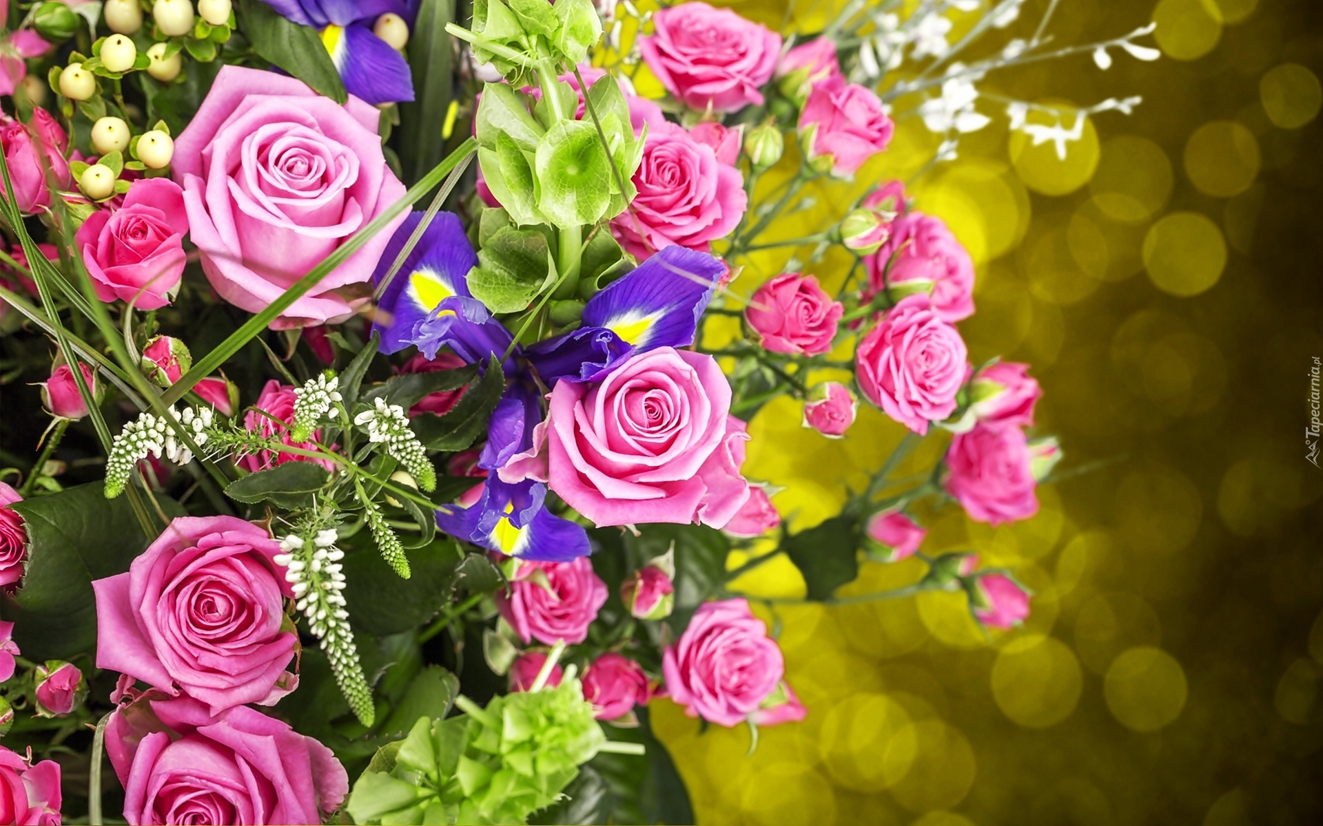 Kwiaty, Bukiet, Róże, Irysy