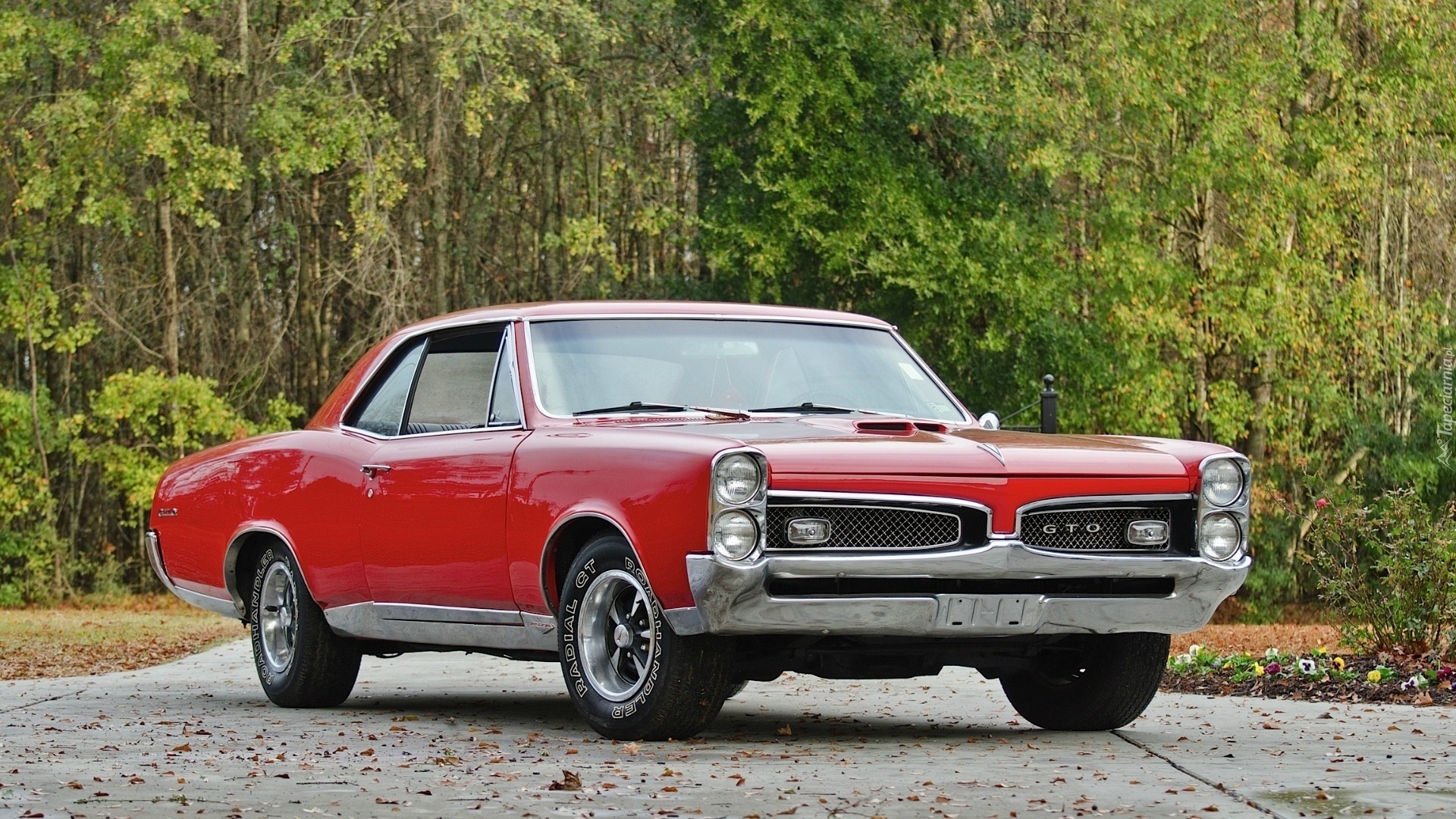 Pontiac, Samochód, Czerwony, GTO, 1967, Zabytek