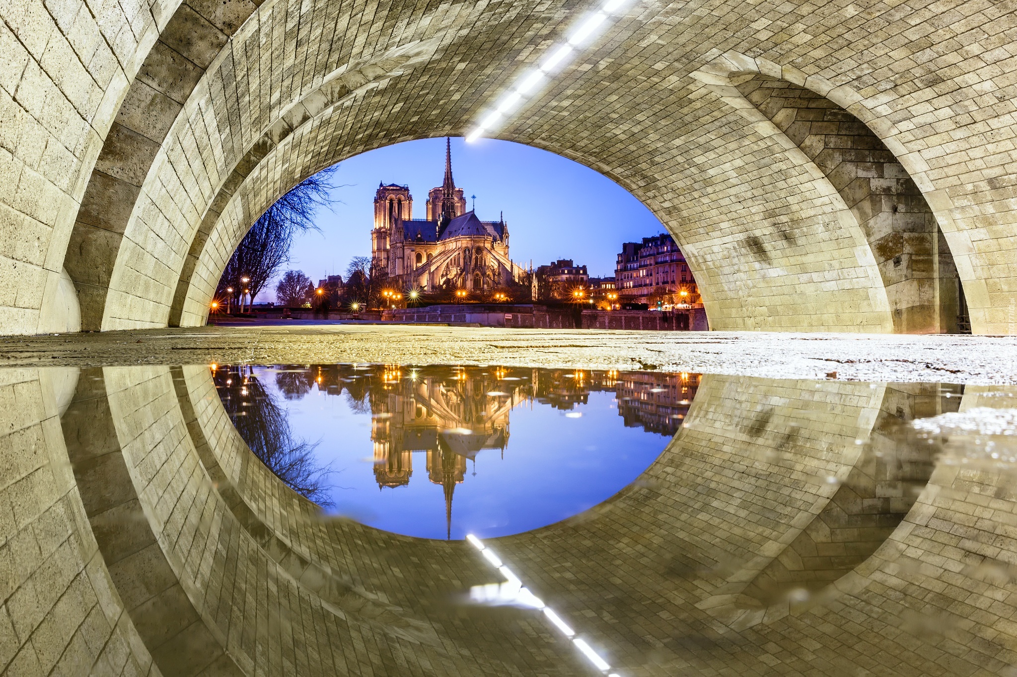 Katedra, Notre Dame, Paryż