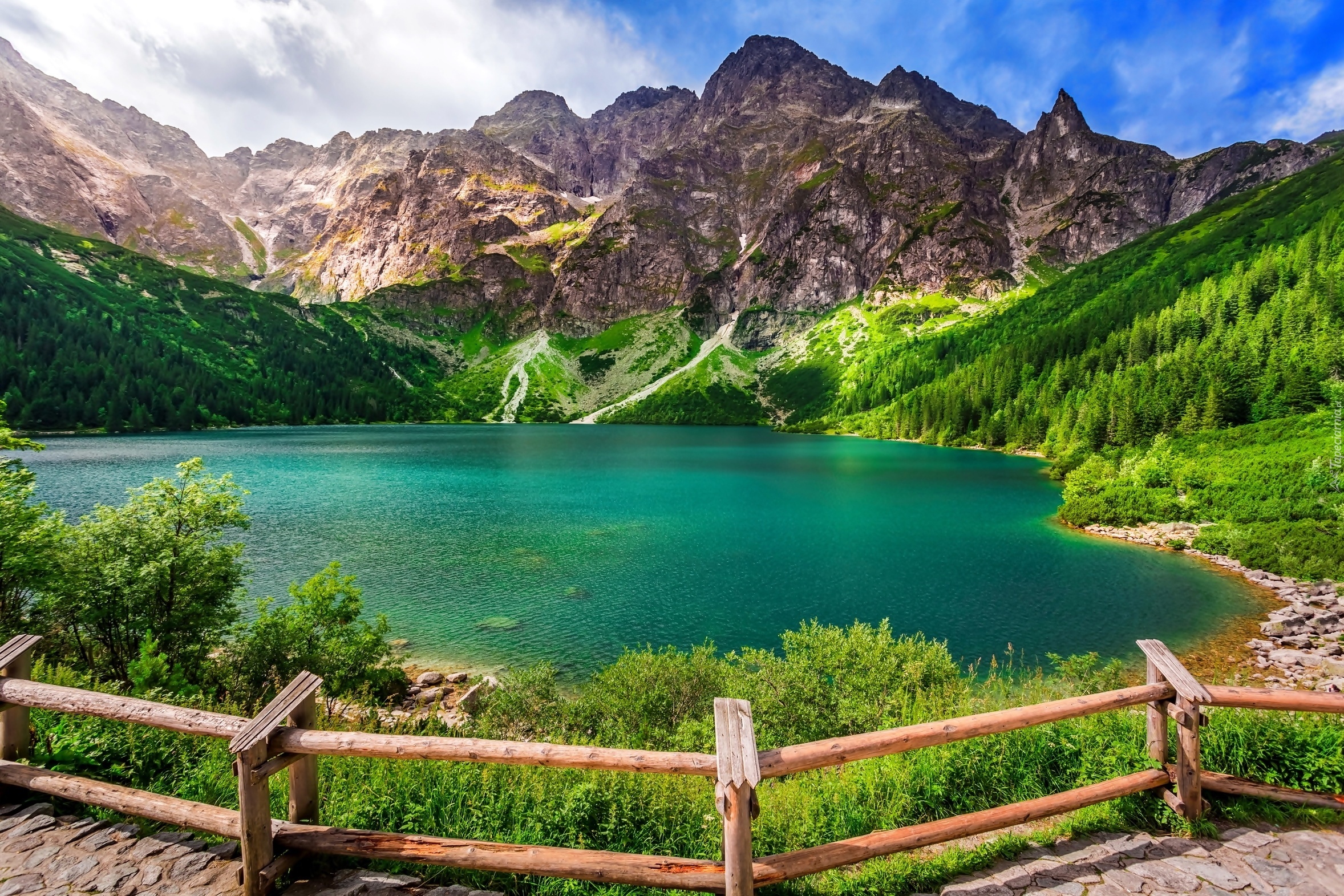 Polska, Dolina Rybiego Potoku, Góry Tatry, Mięguszowickie Szczyty, Jezioro Morskie oko,  Drzewa, Ogrodzenie