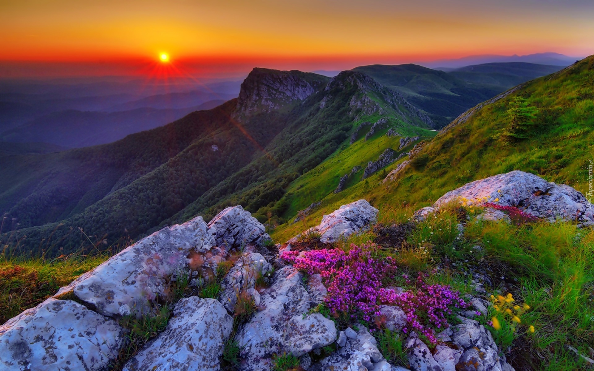 Góry, Kamienie, Kwiatki, Bałkański, Wschód, Słońca