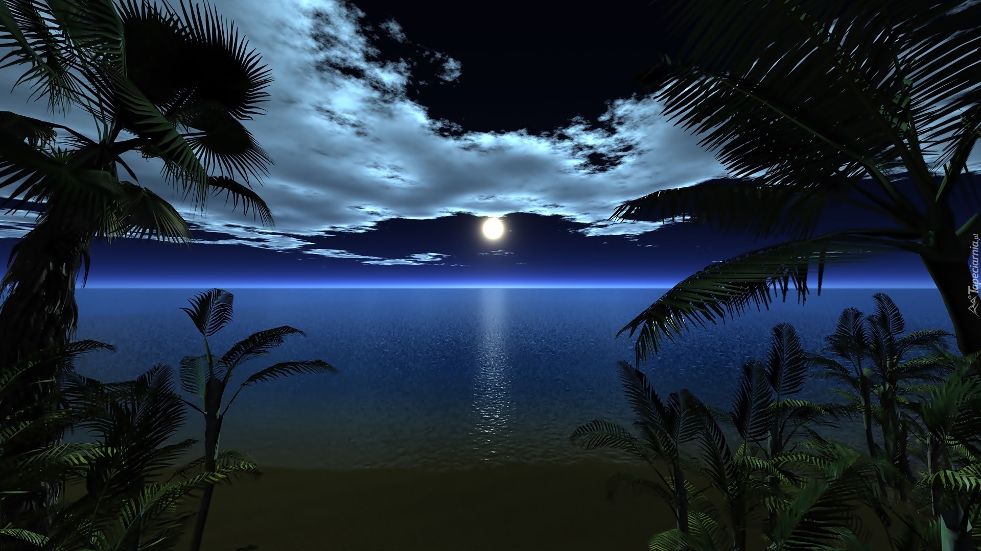 Plaża, Palmy, Ocean, Księżyc, Noc