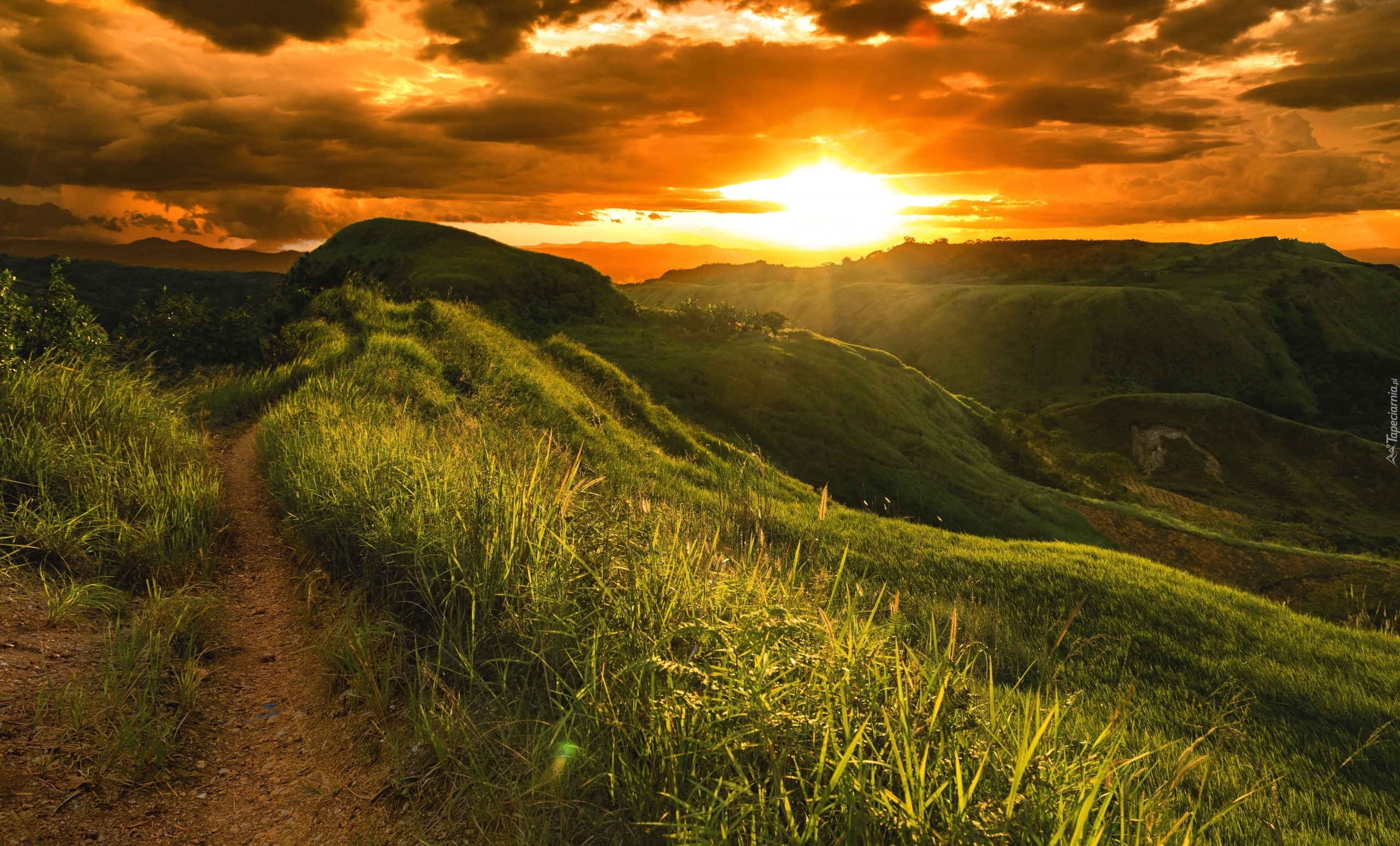 Pole, Zachód słońca, Ścieżka, Chmury, Filipiny