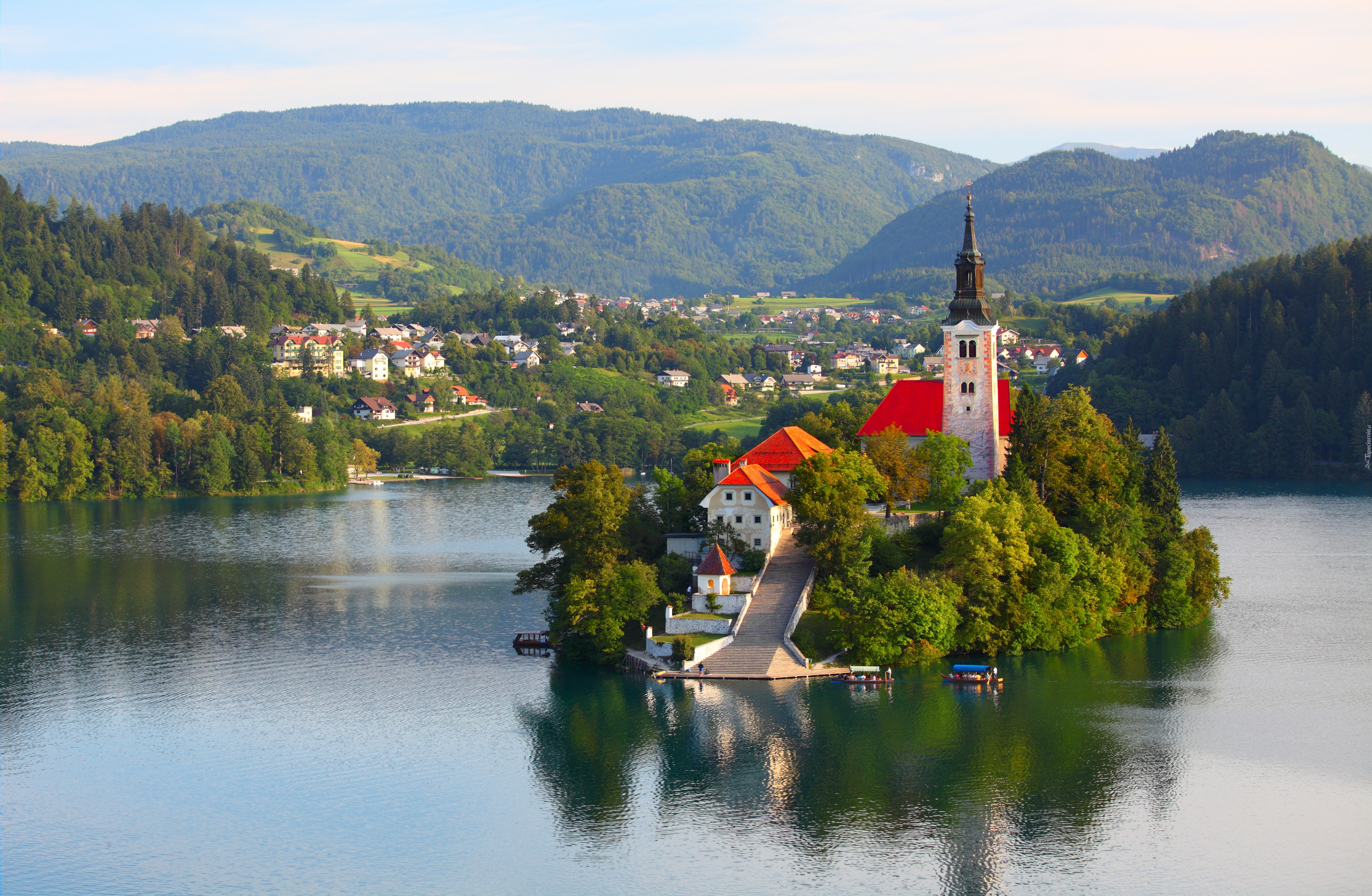 Słowenia, Jezioro Bled, Drzewa, Wyspa Blejski Otok, Kościół