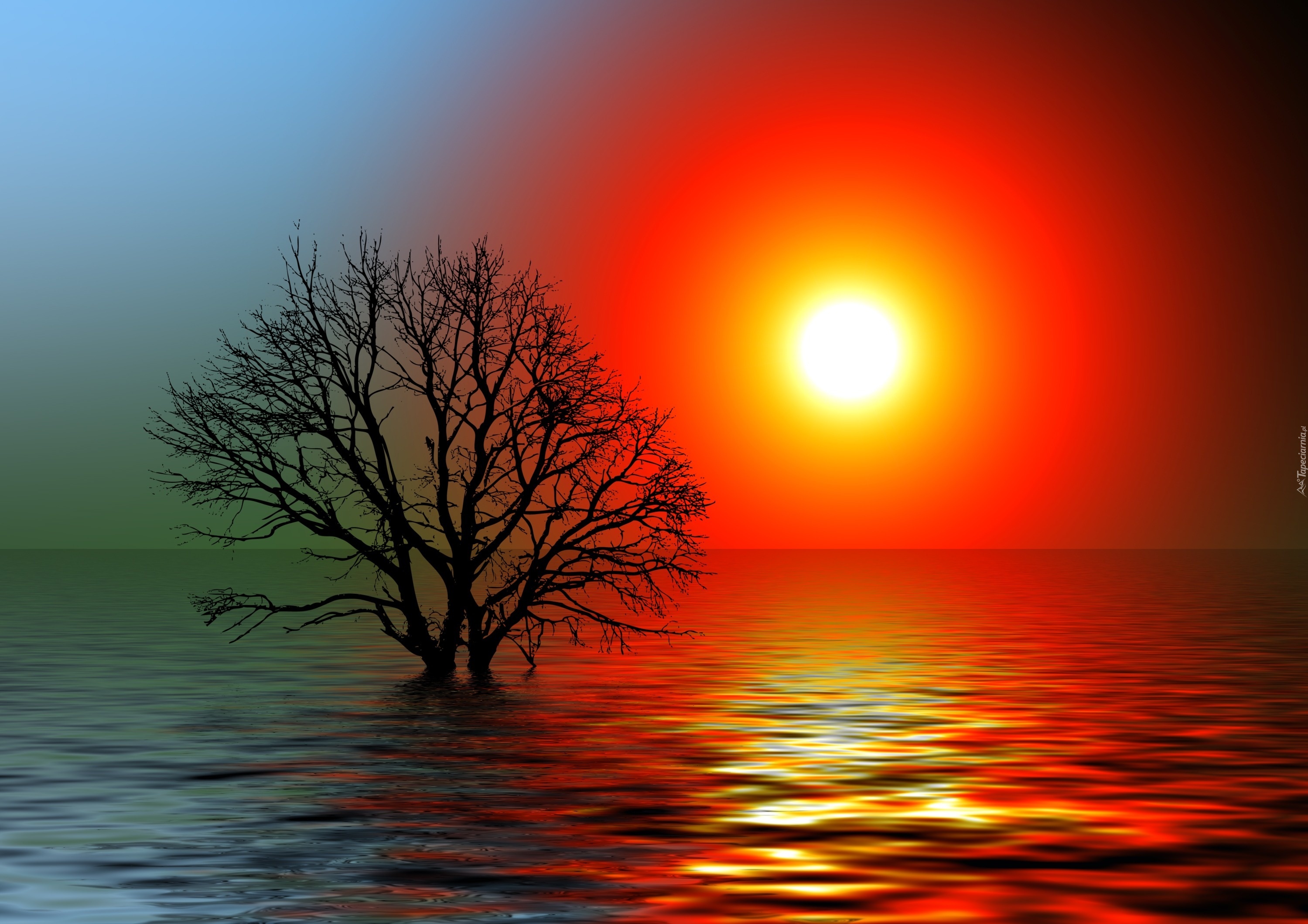Jezioro, Słońce, Niebo, Odbicie, Drzewo