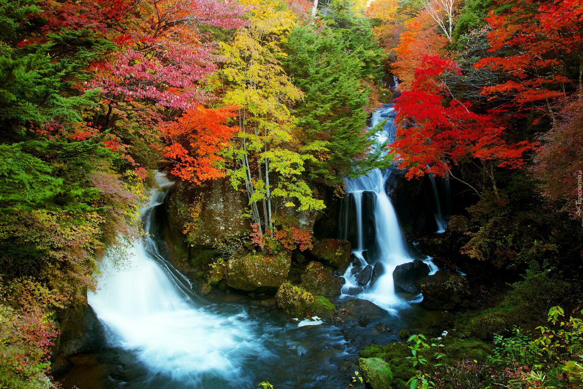Jesień, Drzewa, Wodospady