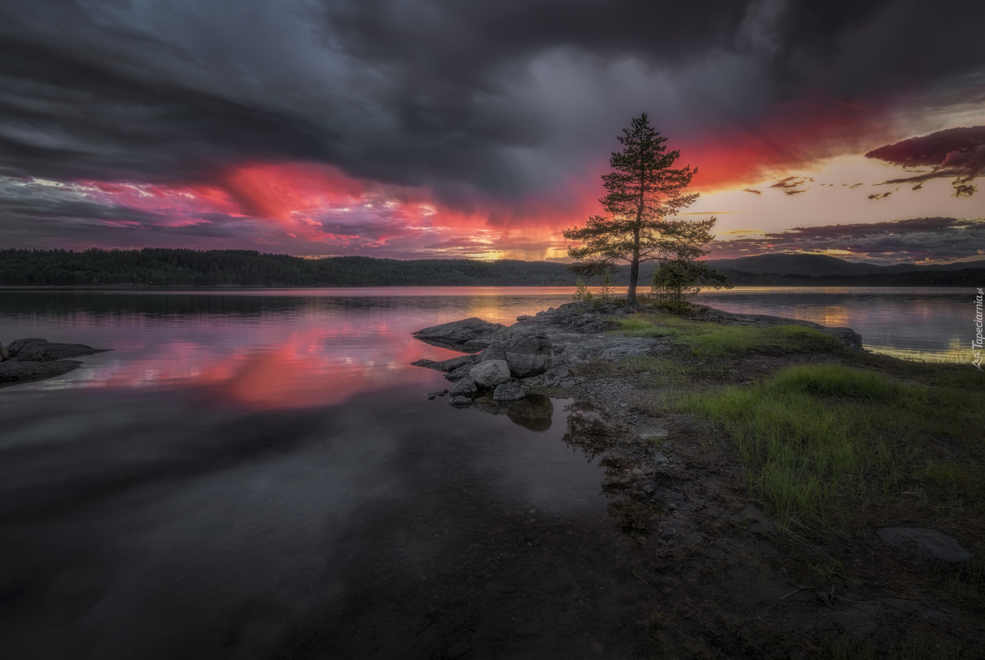 Jezioro, Chmury, Drzewo, Ringerike, Norwegia