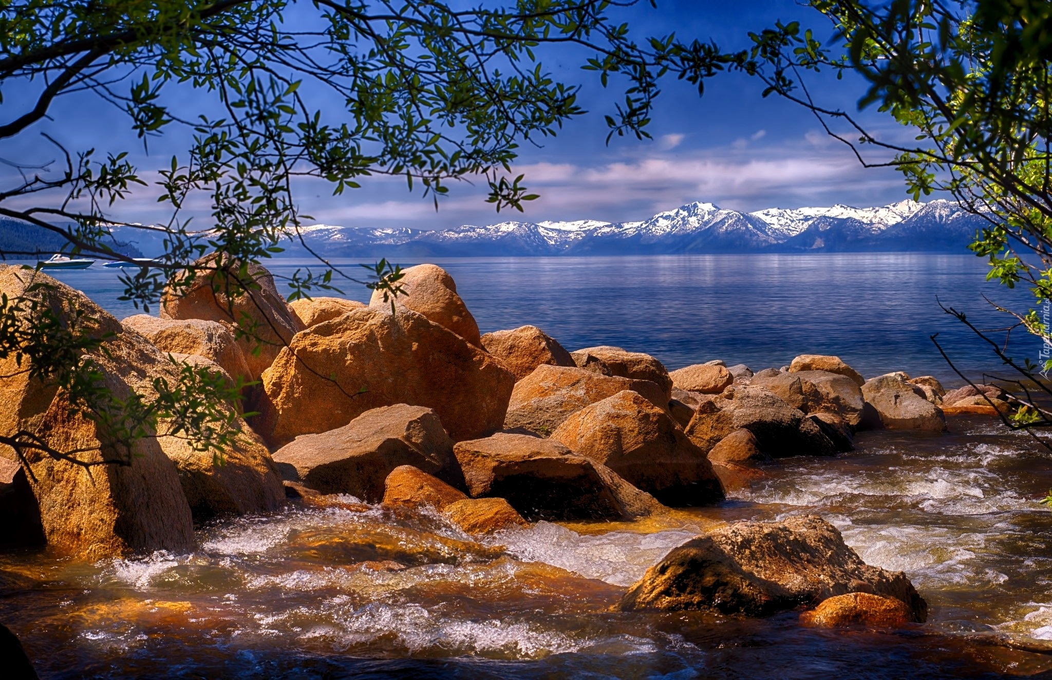 Jezioro, Lake Tahoe, Kamienie, Góry Sierra Nevada, Gałęzie, Drzewo, Nevada, Stany Zjednoczone