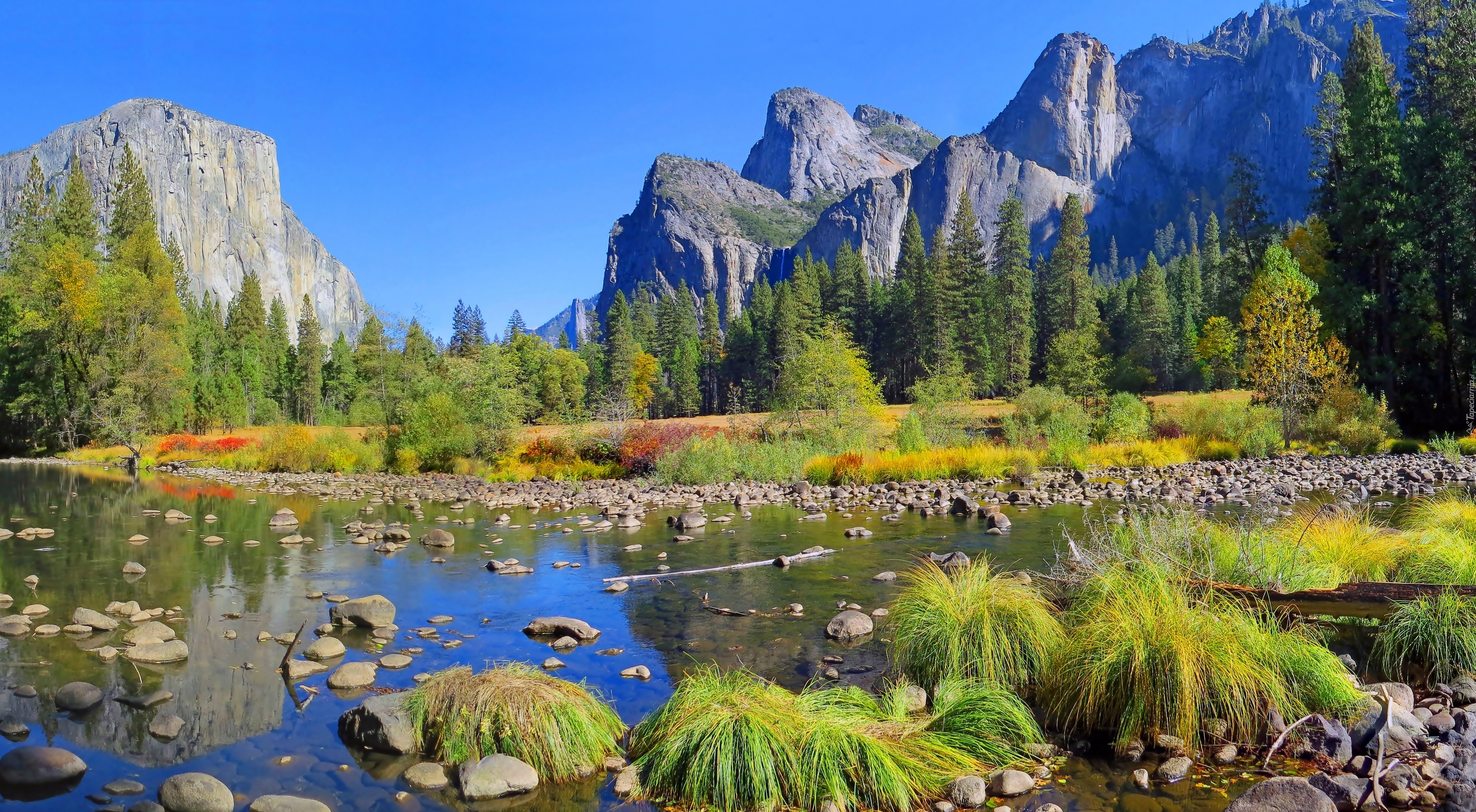 Góry, Rzeka, Las, Kamienie, Yosemite, Roślinność