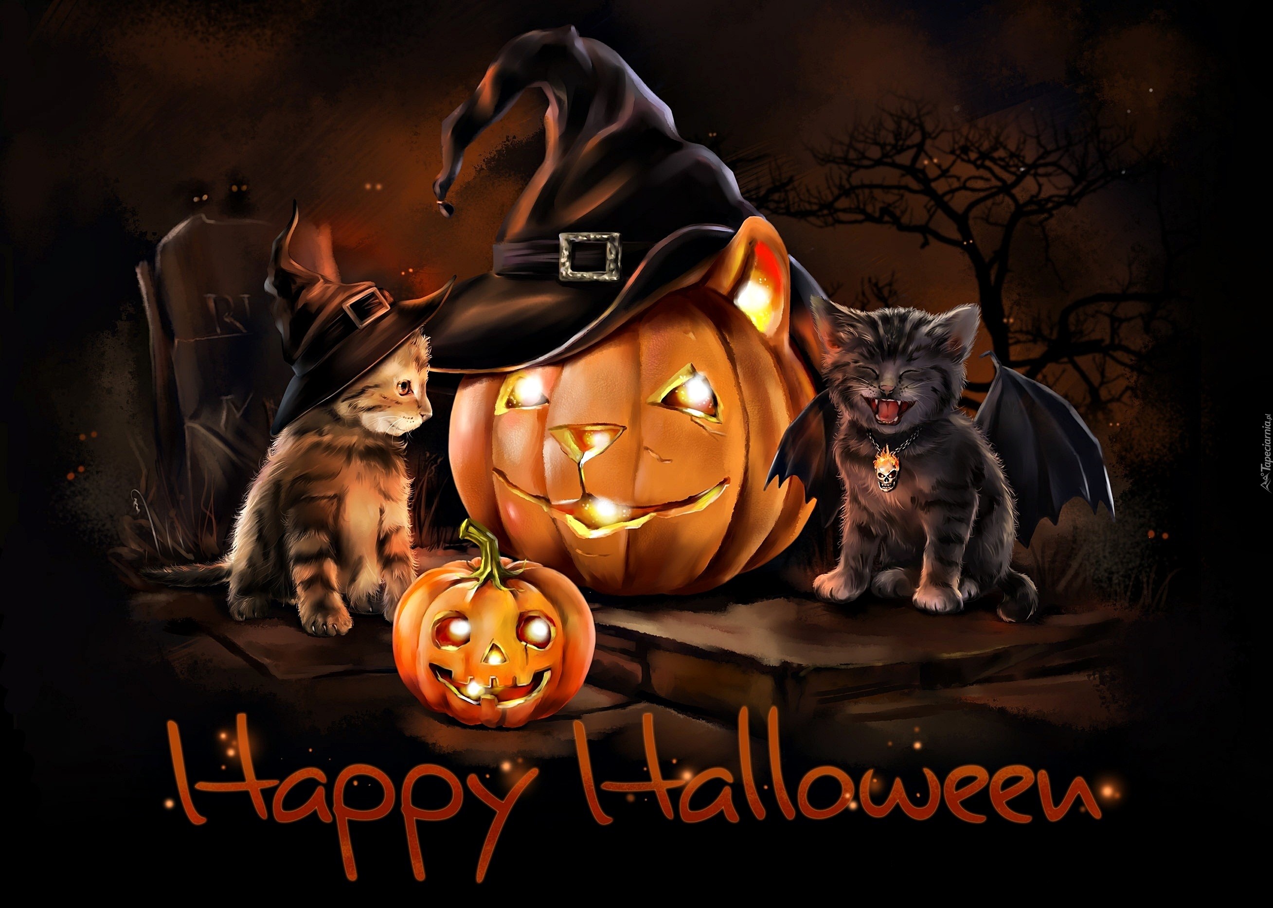 Halloween, Dynie, Koty