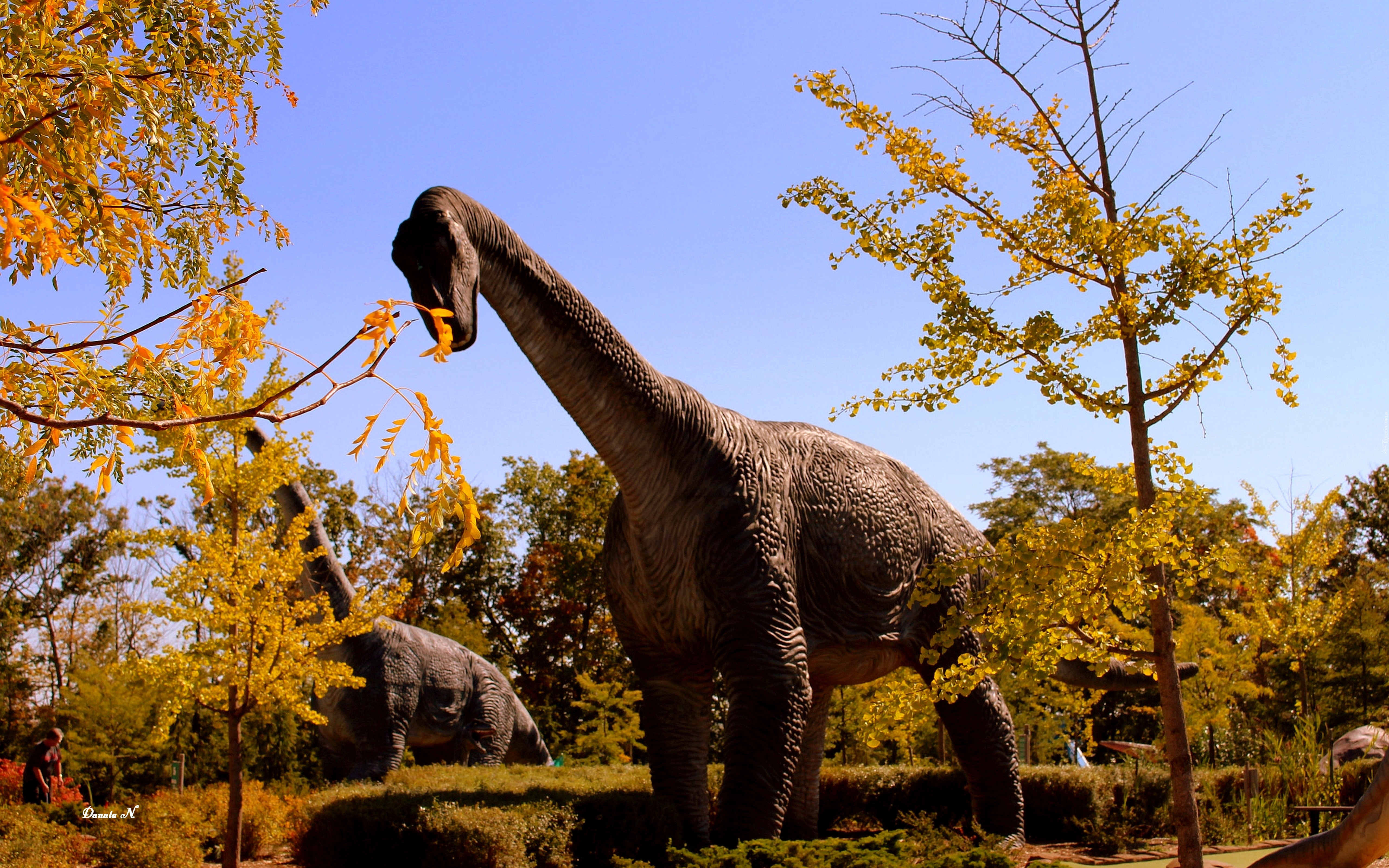 Park, Dinozaurów, Drzewa, Niagara Falls