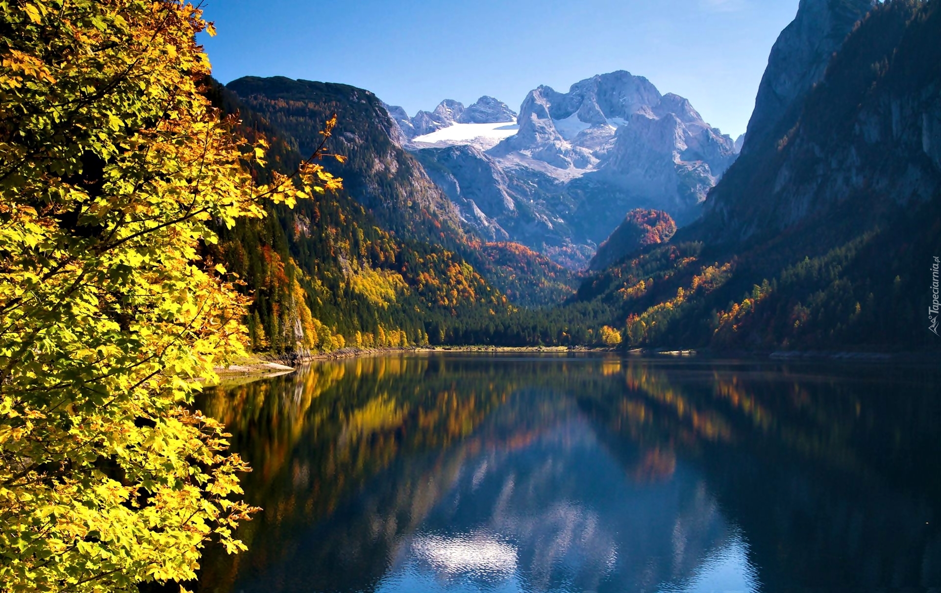 Jezioro, Góry, Lasy, Jesień, Gosau, Austria