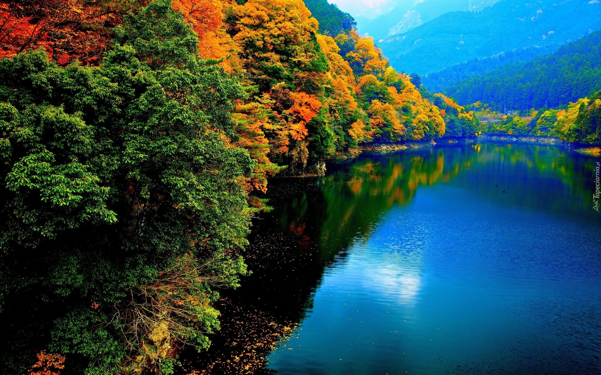 Jezioro, Lasy, Góry, Jesień