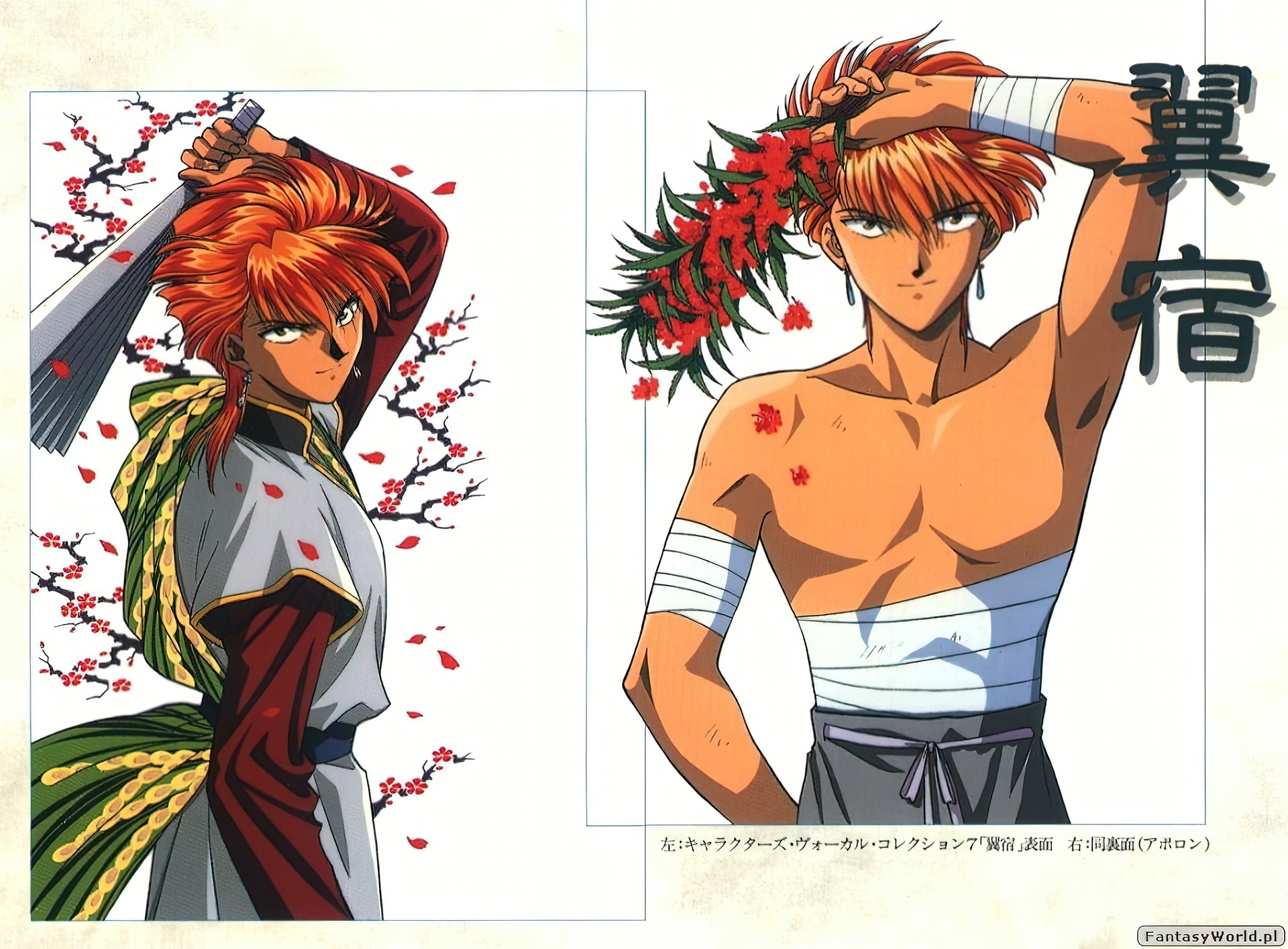 Fushigi Yuugi, facet, bandaże, kwiaty