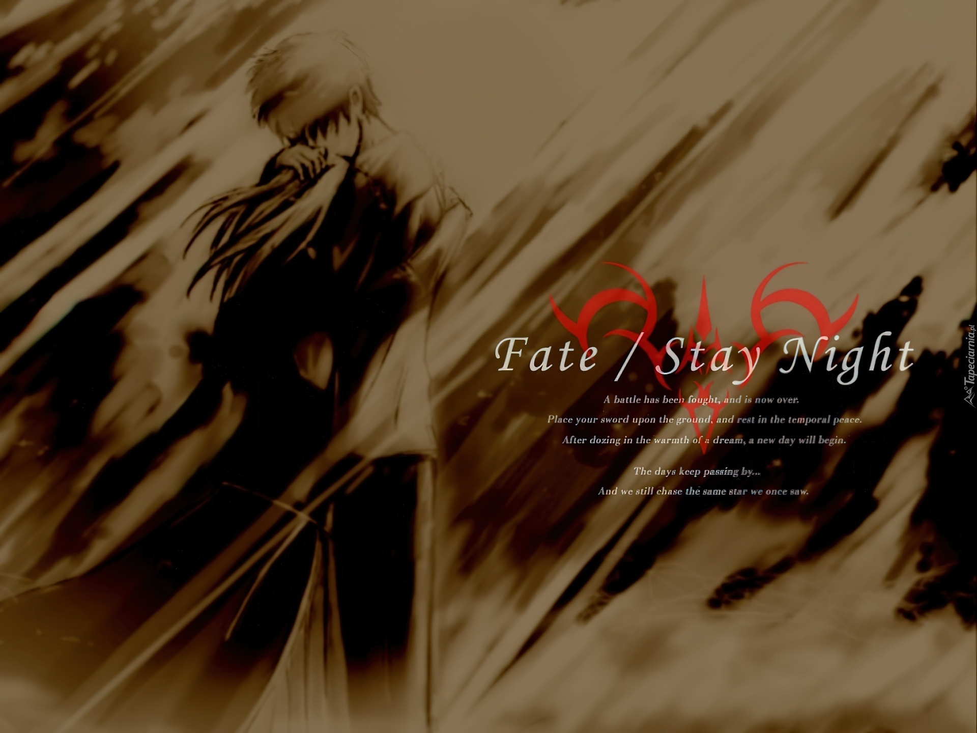 Fate Stay Night, para, portret