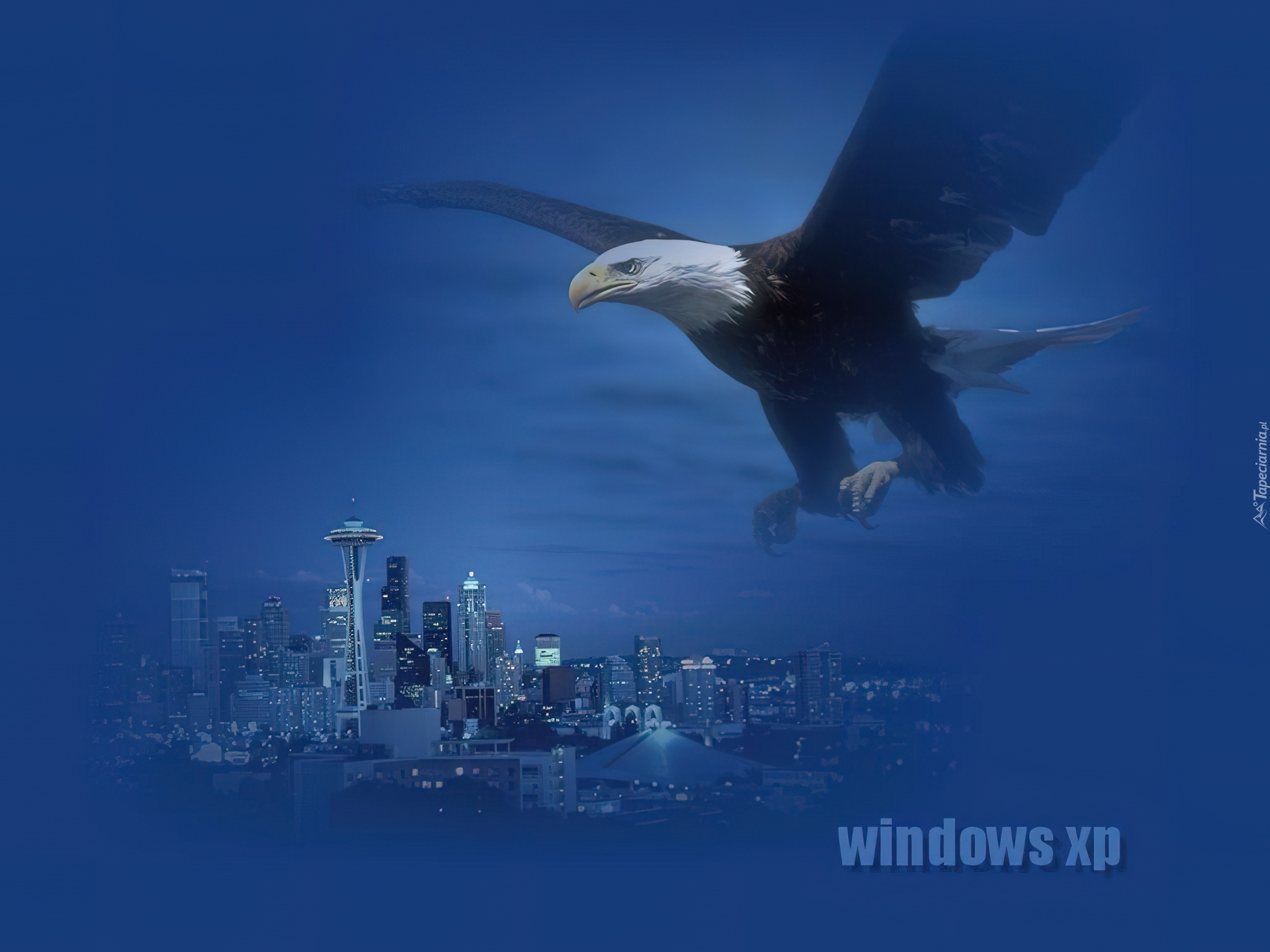 Windows XP, microsoft, miasto, Bielik amerykański