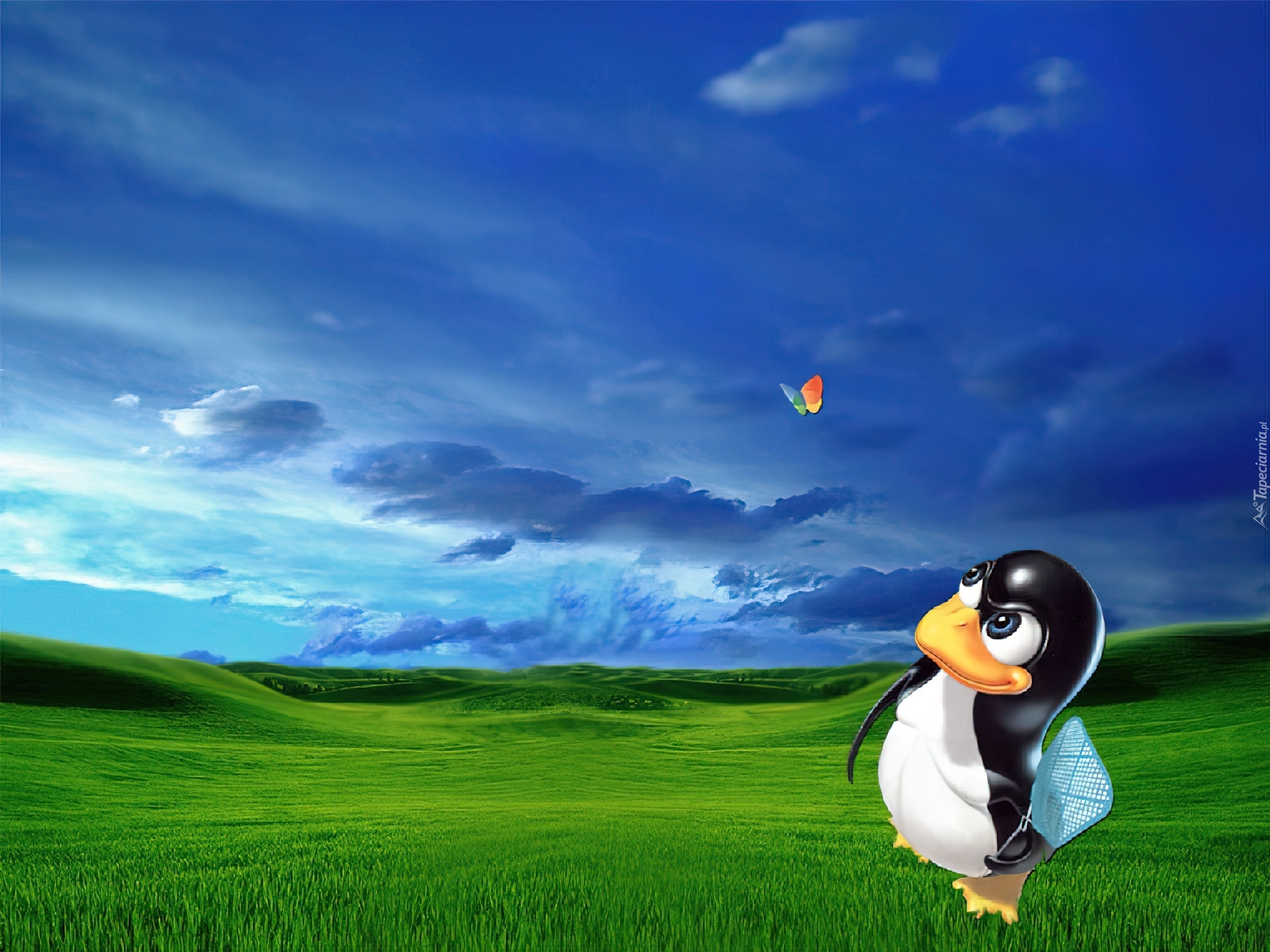 Linux, pingwin, łapka, motyl, wzgórza, trawa
