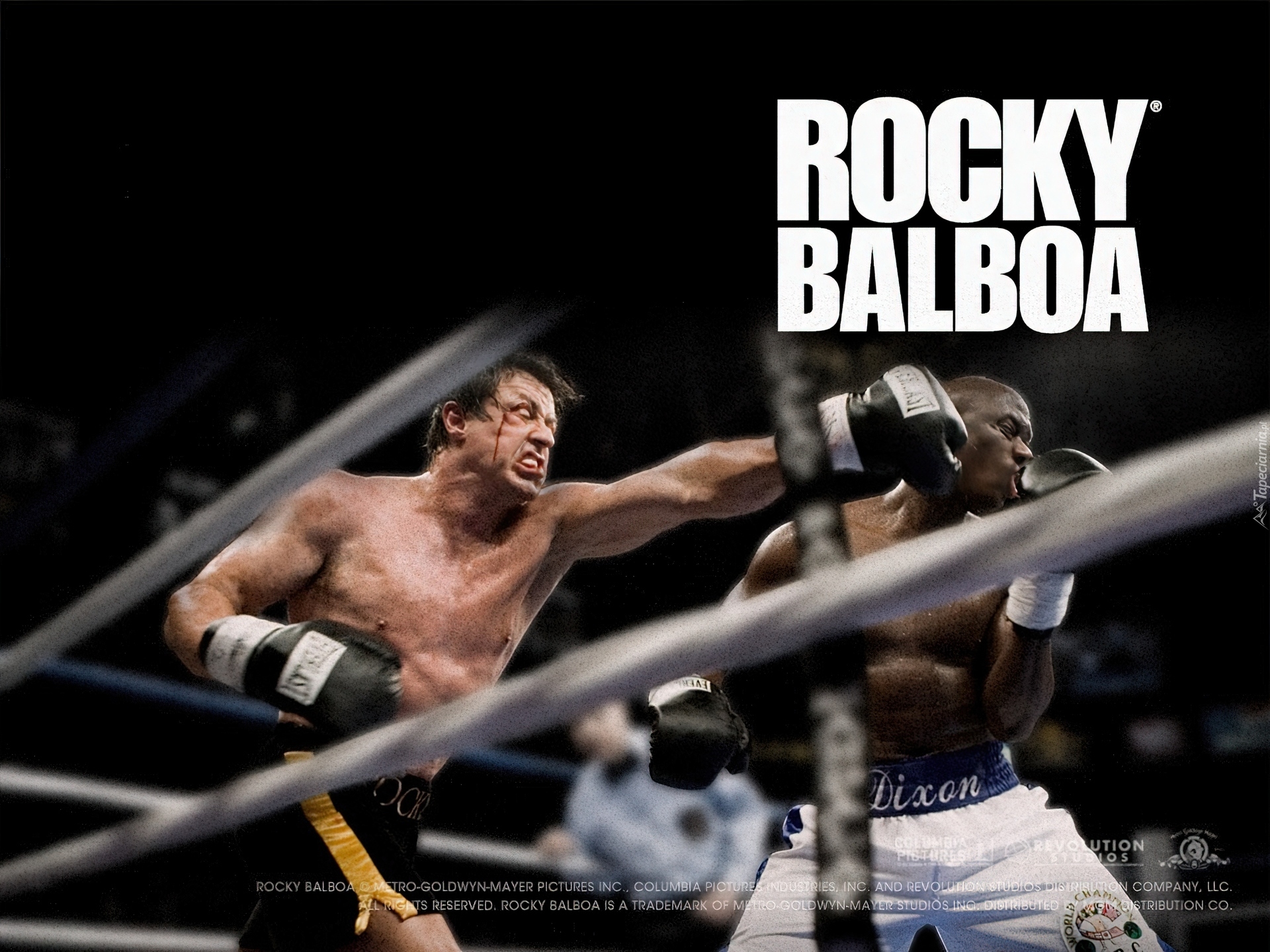 ring, boks, Rocky Balboa, Sylvester Stallone