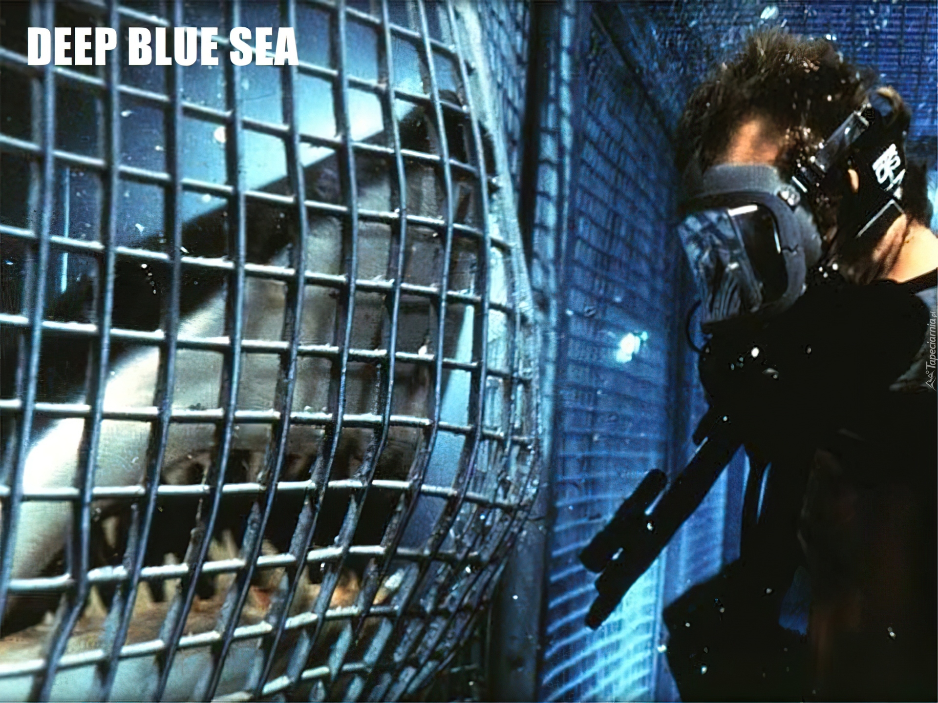 Deep Blue Sea, rekin, nurek