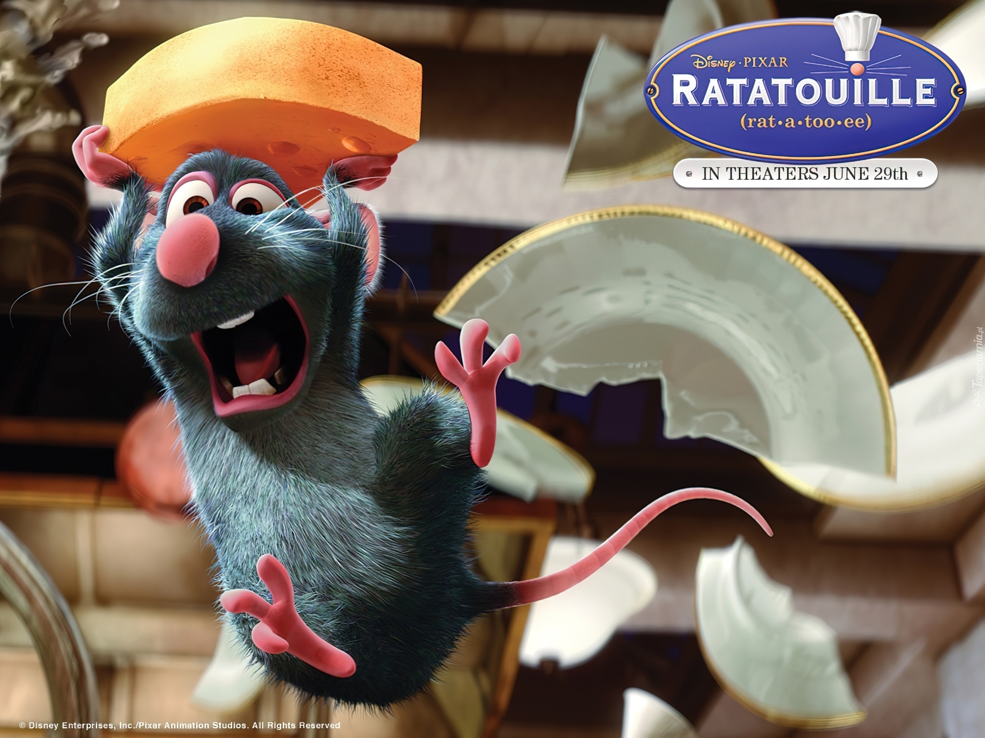 Ratatuj, Ratatouille, mysz, zbity, talerz