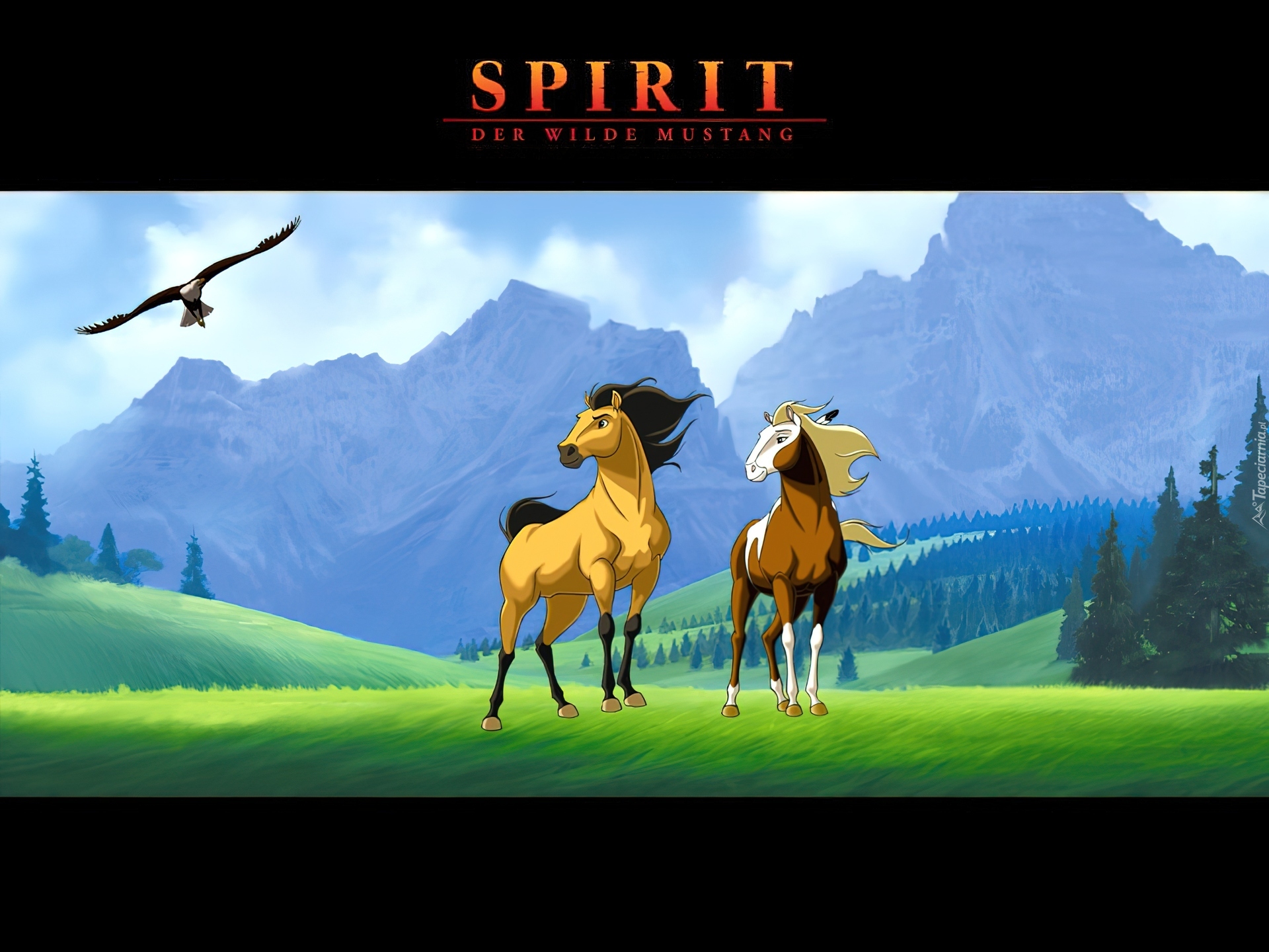 Mustang z Dzikiej Doliny, Spirit Stallion of the Cimarron, góry, trawa, Konie