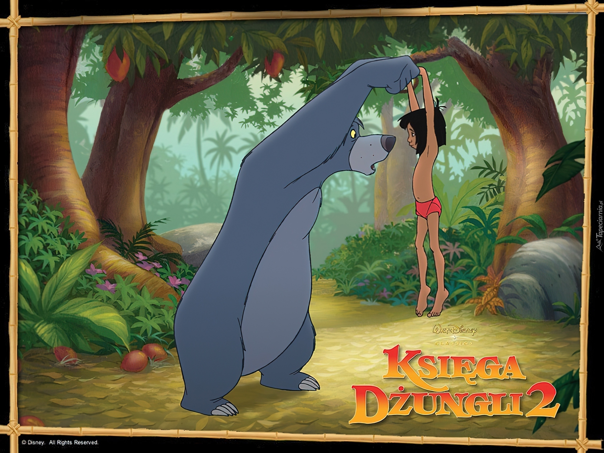 Baloo, Księga Dżungli 2, The Jungle Book 2