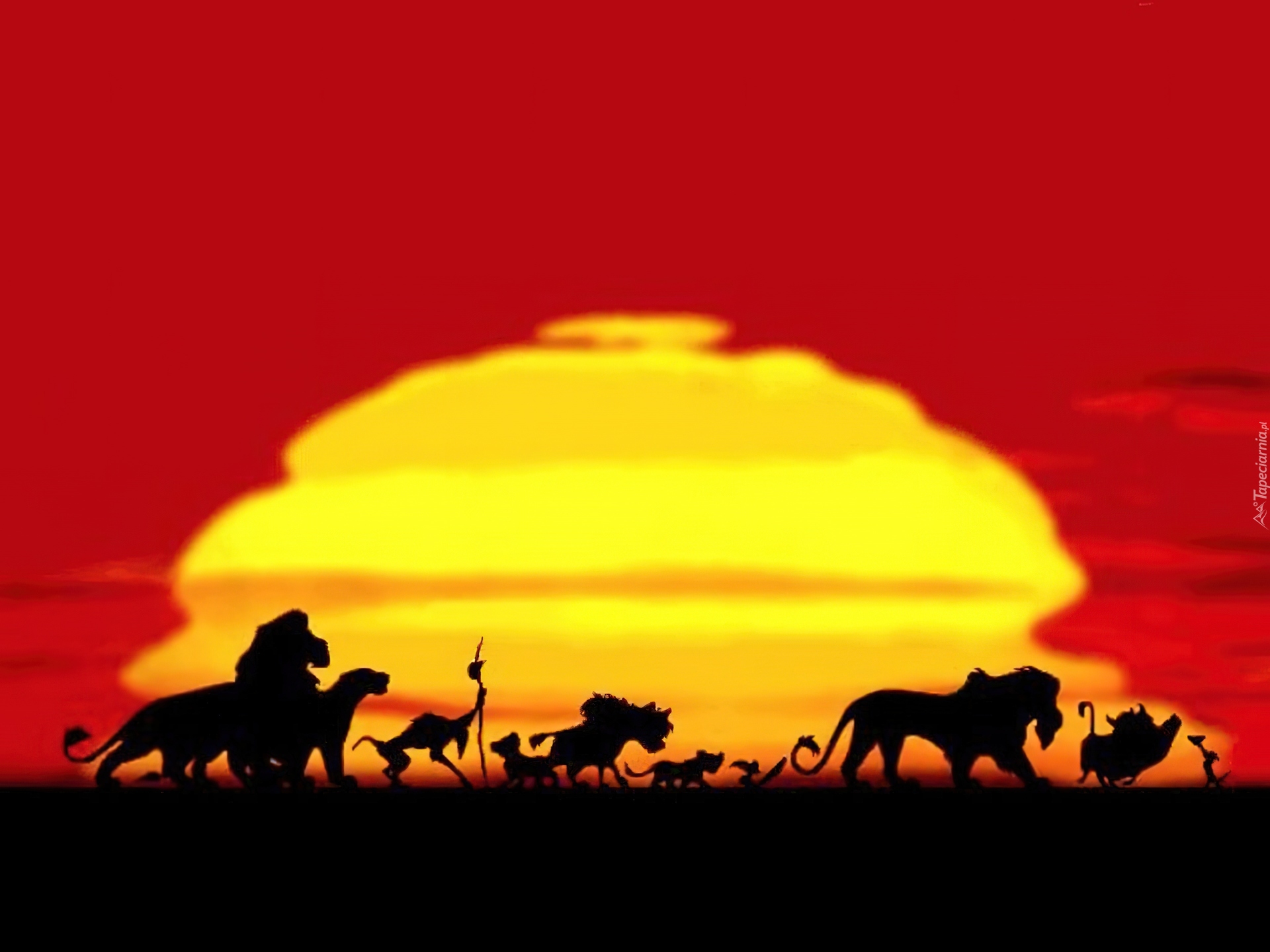 Król Lew, The Lion King, Zwierzęta, Zachód słońca