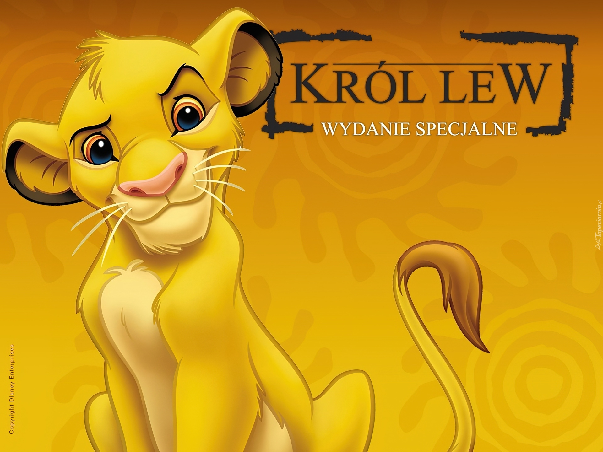 Król Lew, The Lion King, Simba, lwiątko