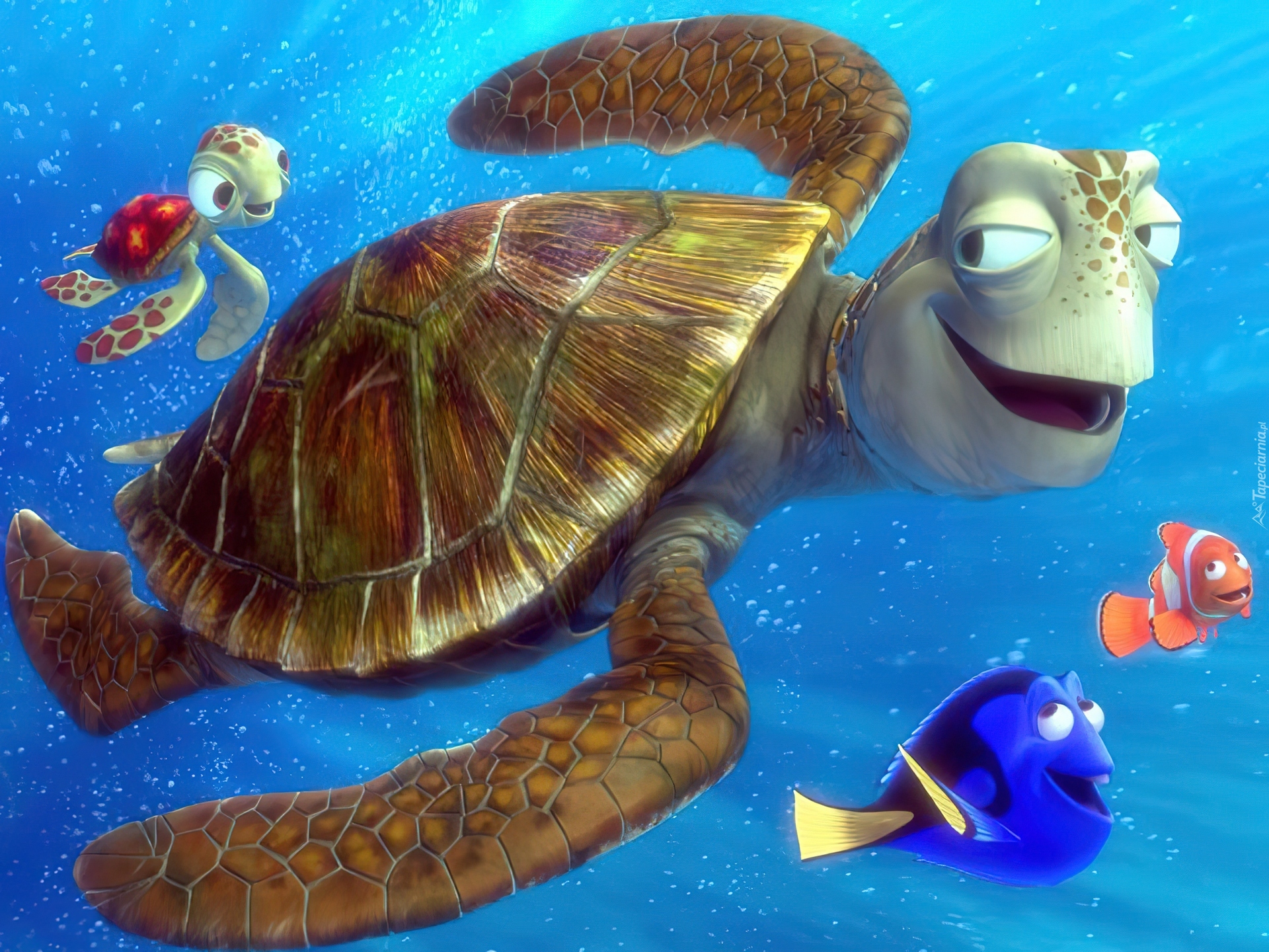 żółw, rybki, Gdzie jest Nemo, Finding Nemo