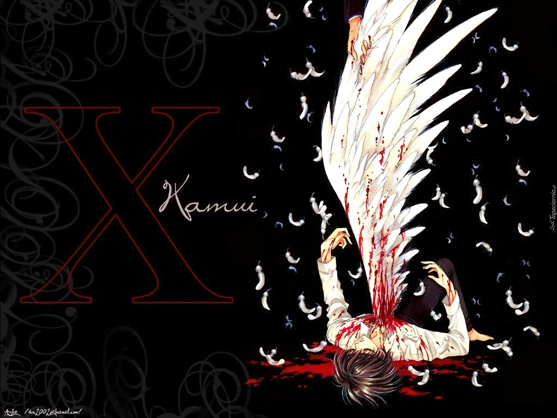X, skrzydło, krew