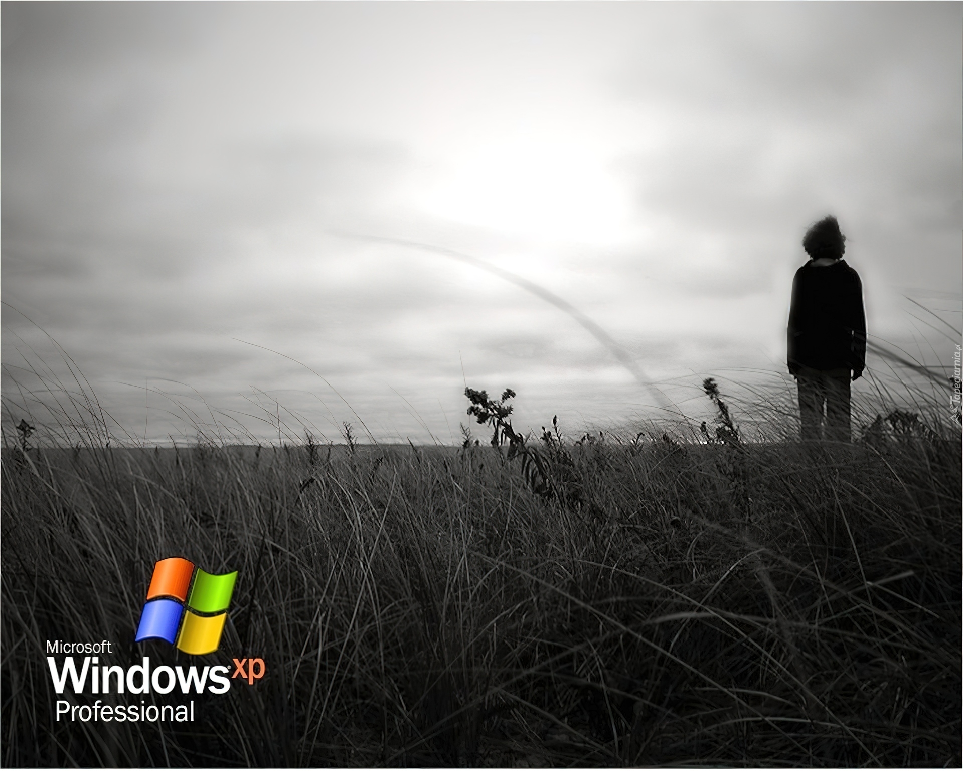 Windows XP, Professional, Człowiek, łąka
