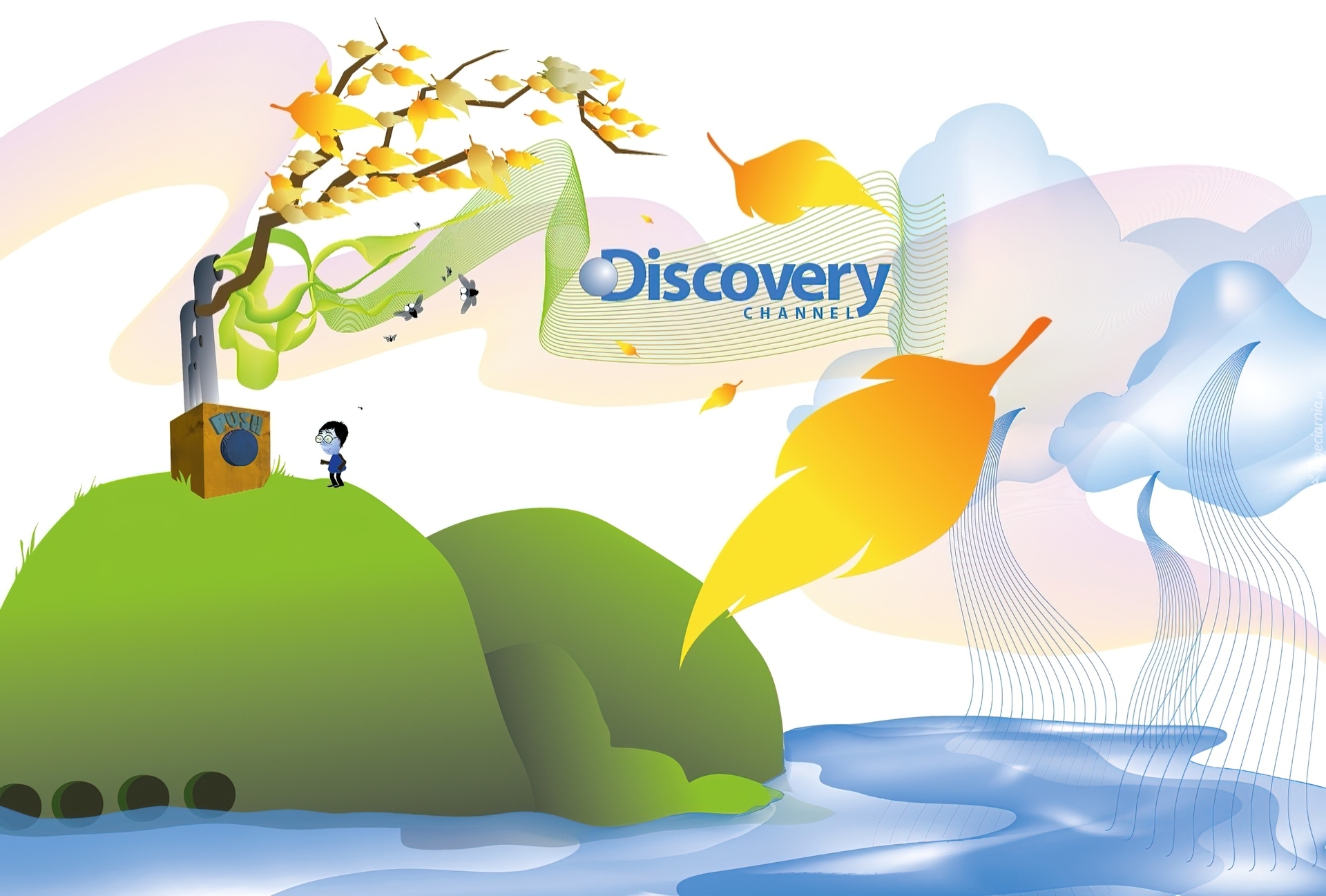 Discovery Channel, 2D