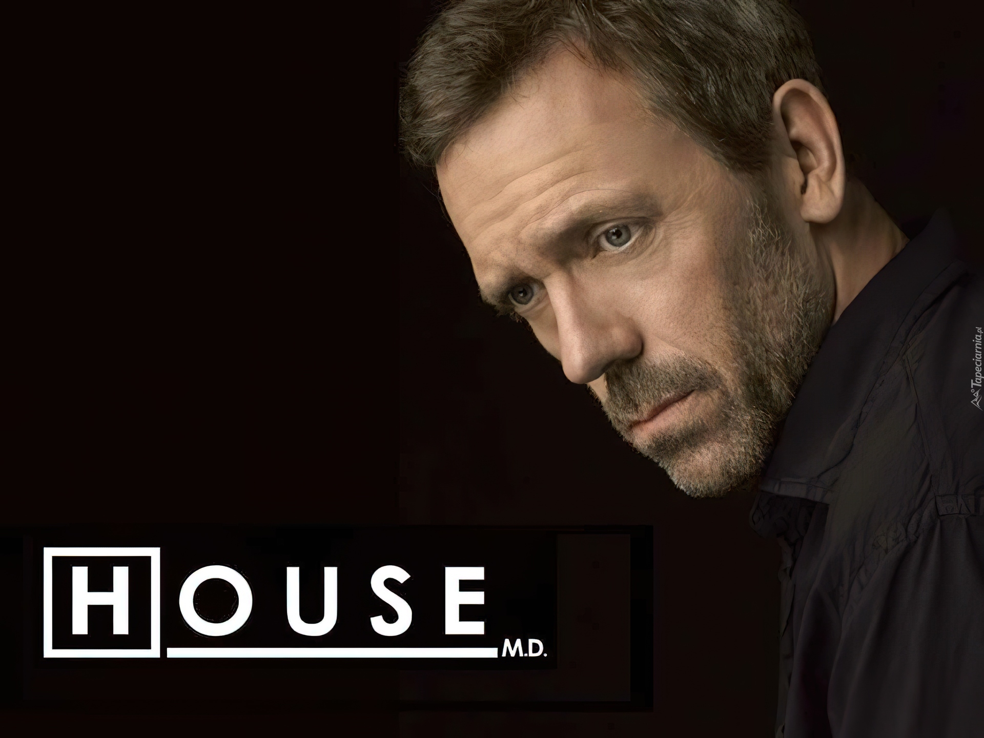 Dr. House,  Hugh Laurie