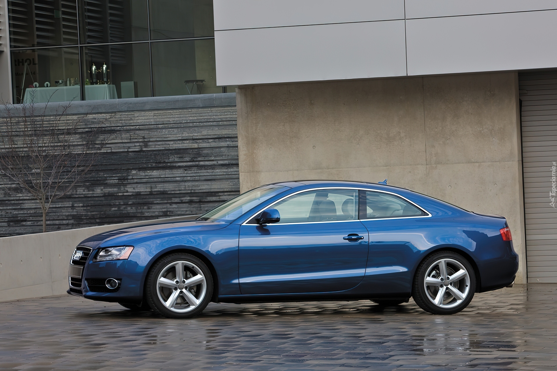 Niebieskie, Audi A5, Drzwi