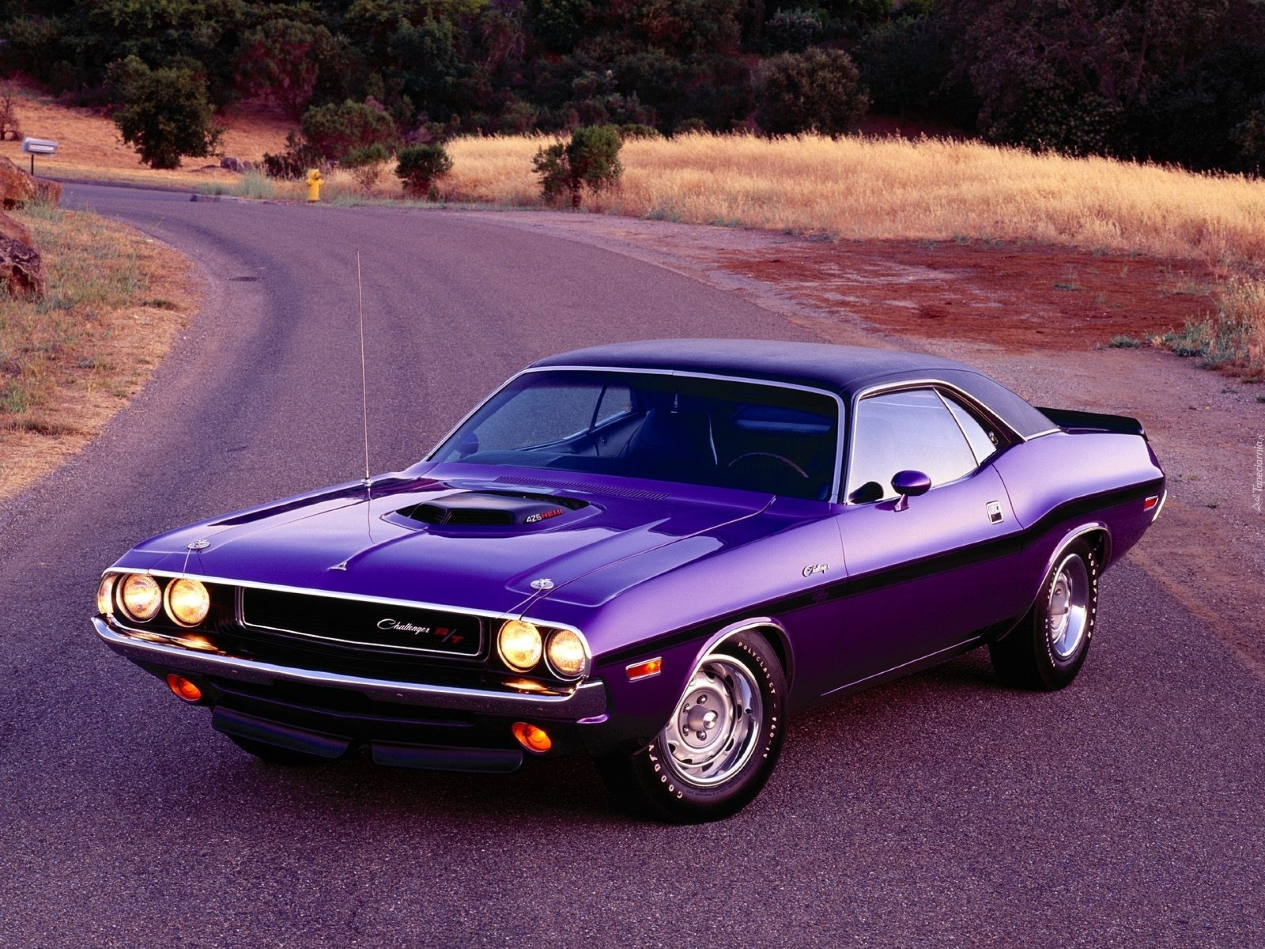 [Imagen: 50330_dodge_challenger_426_hemi.jpg]